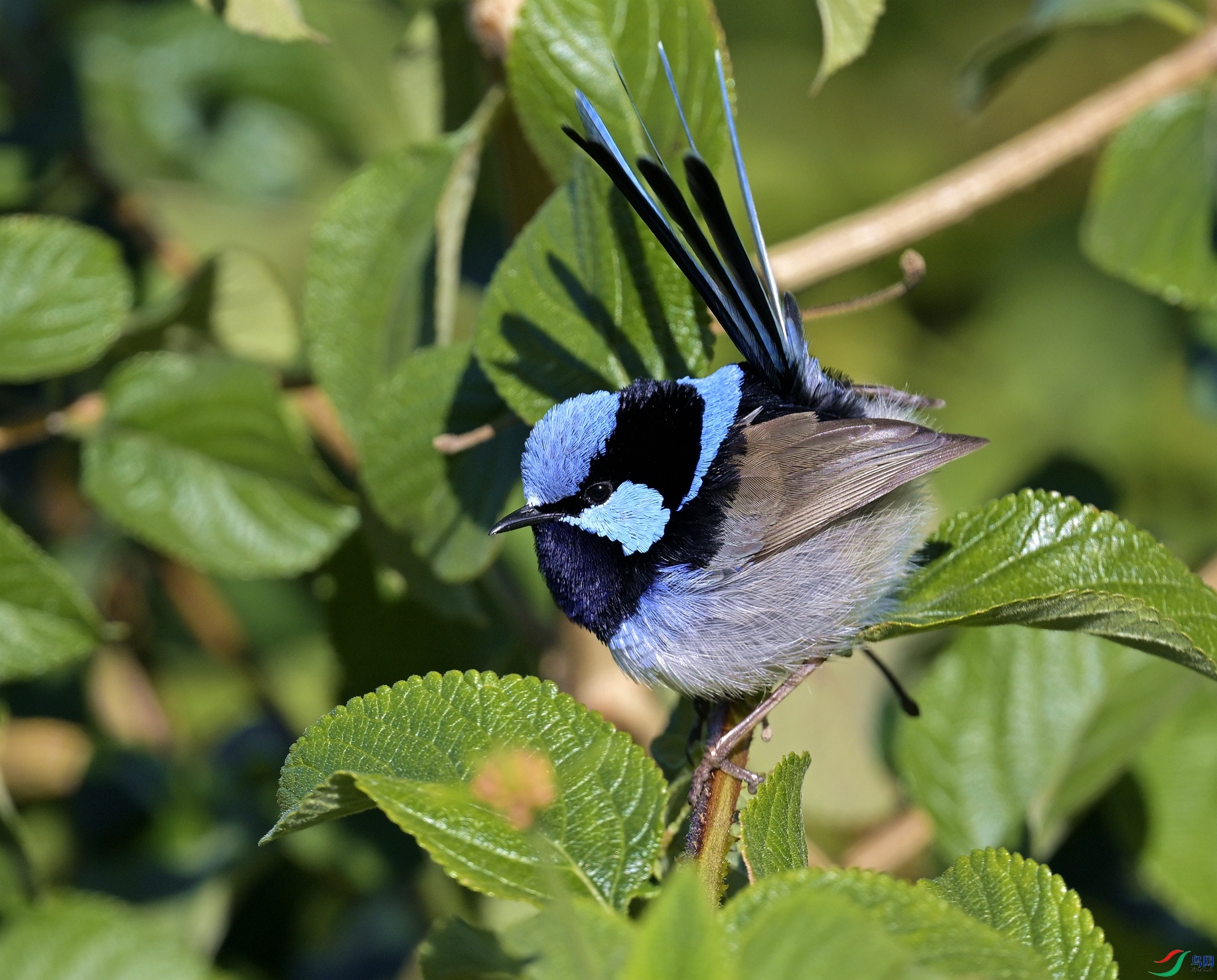 _DSC1419_����_����.jpg