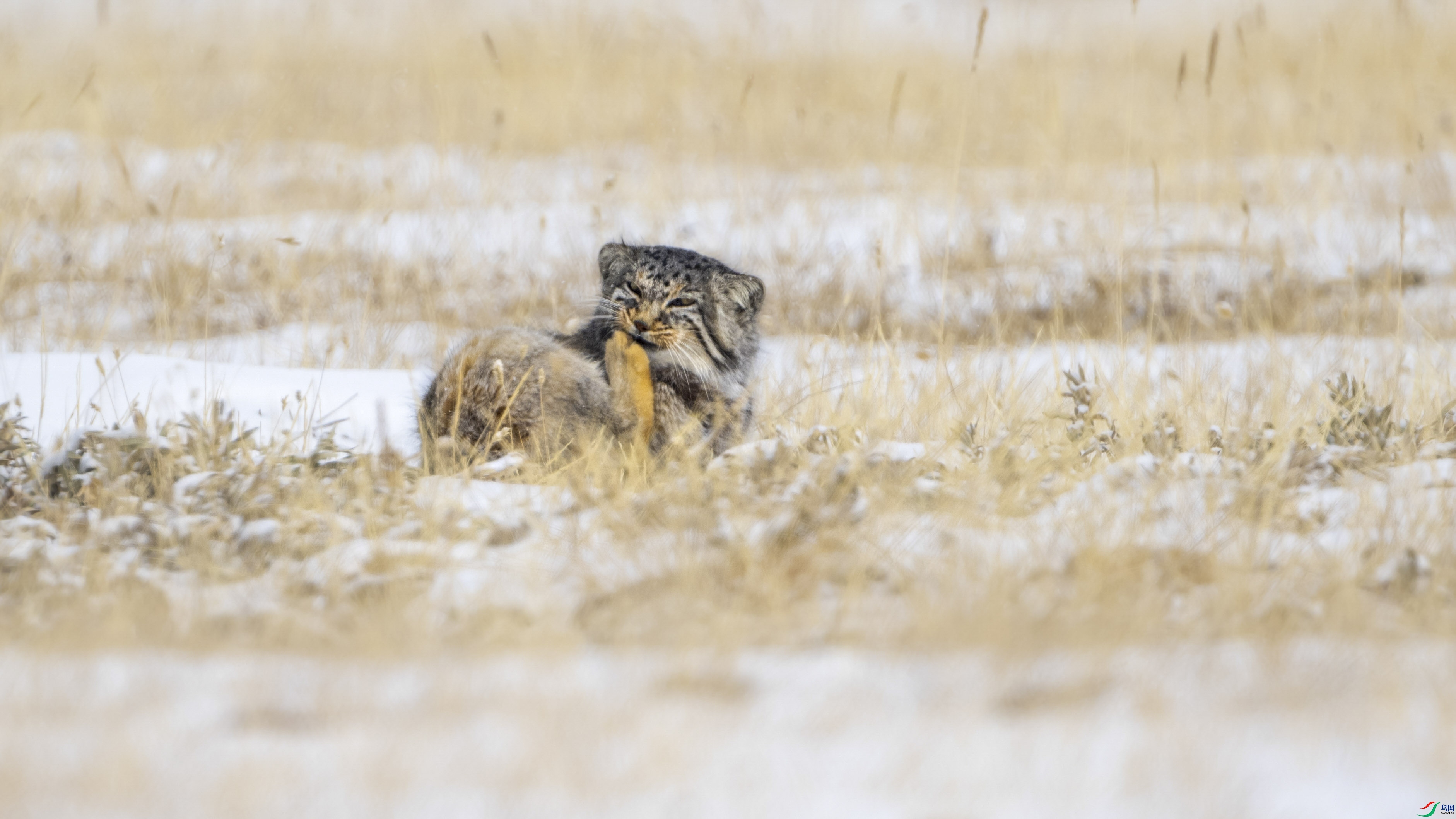 DSC_6499_1.JPG