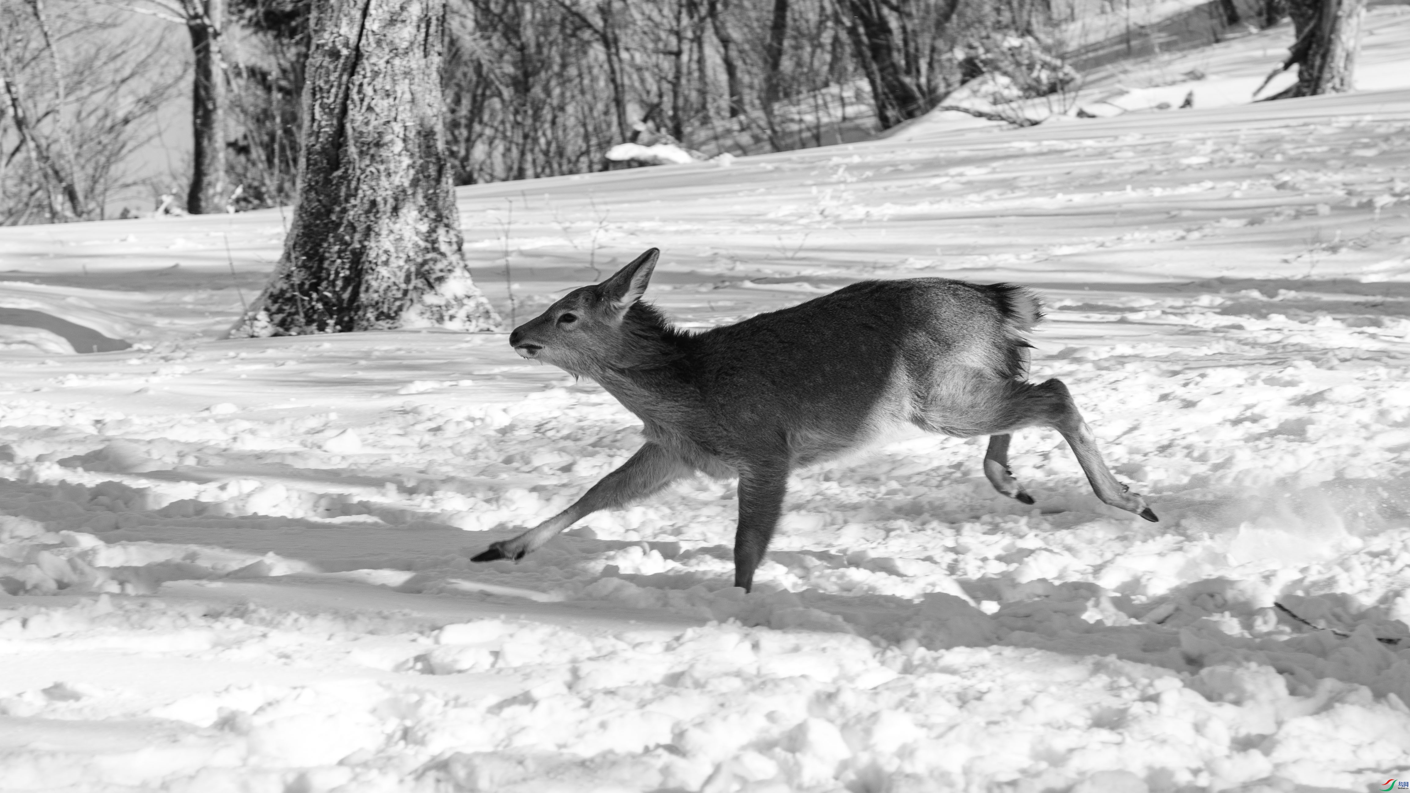 DSC_5146 ����.jpg