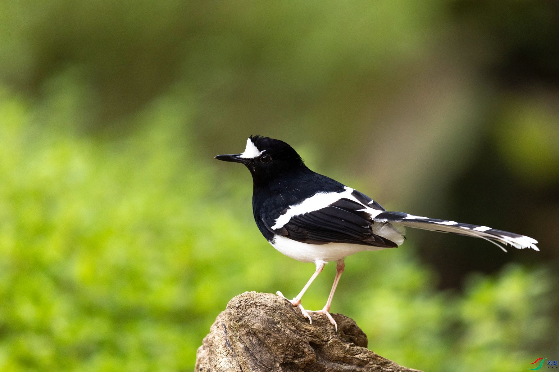 ����7
