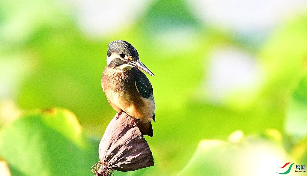 DSC_8552.JPG