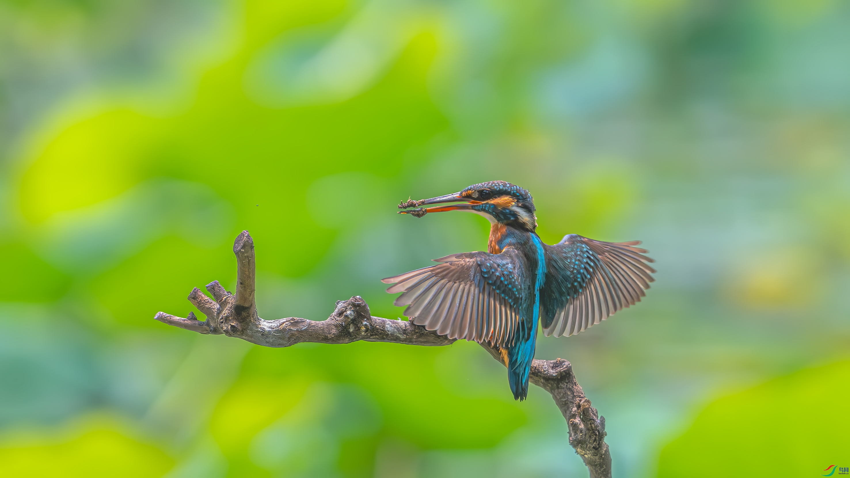 DSC_4679.jpg