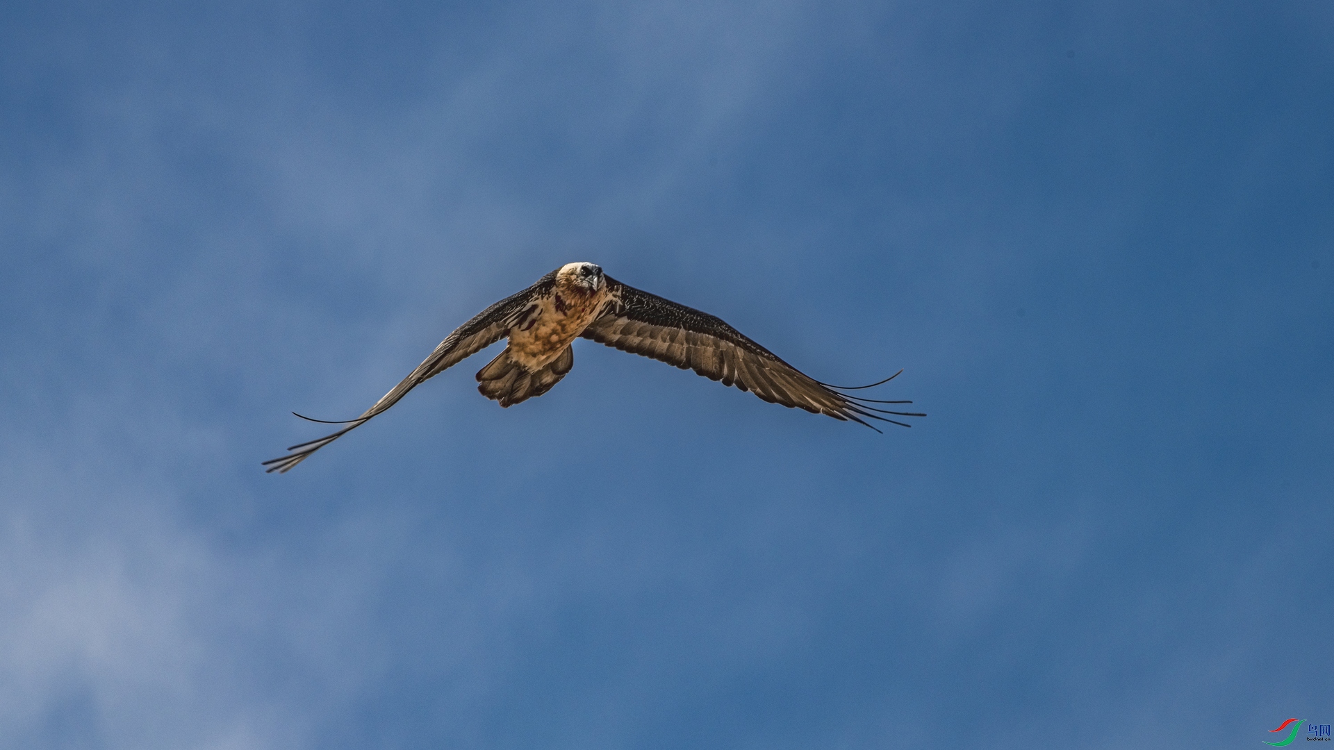 DSC_0014 ����_����.jpg