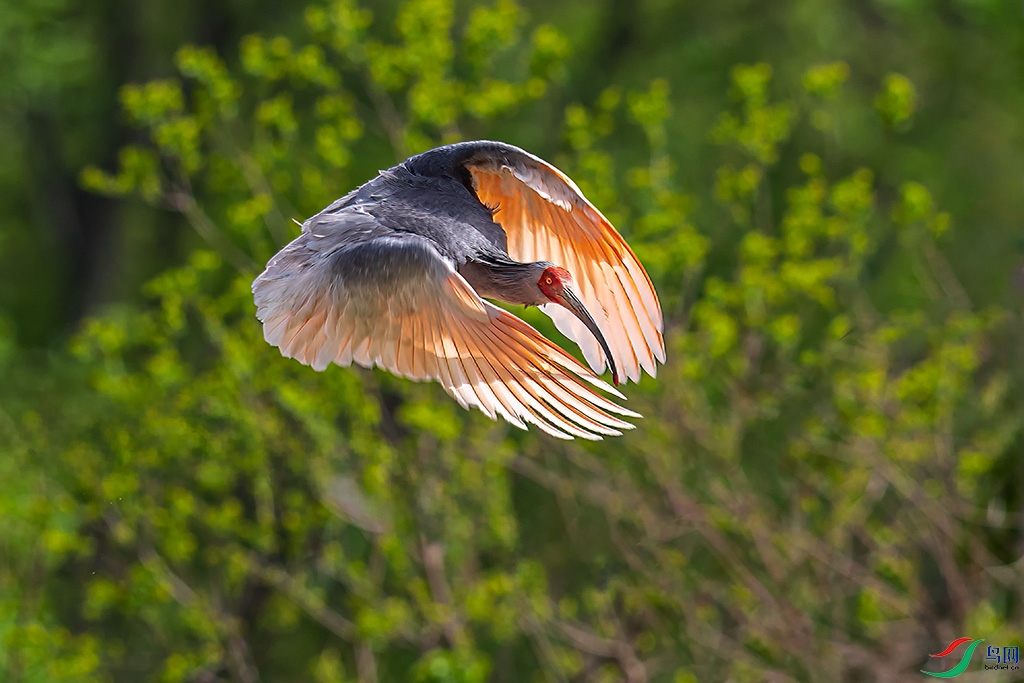 hnxydzR3250413 (10566).jpg