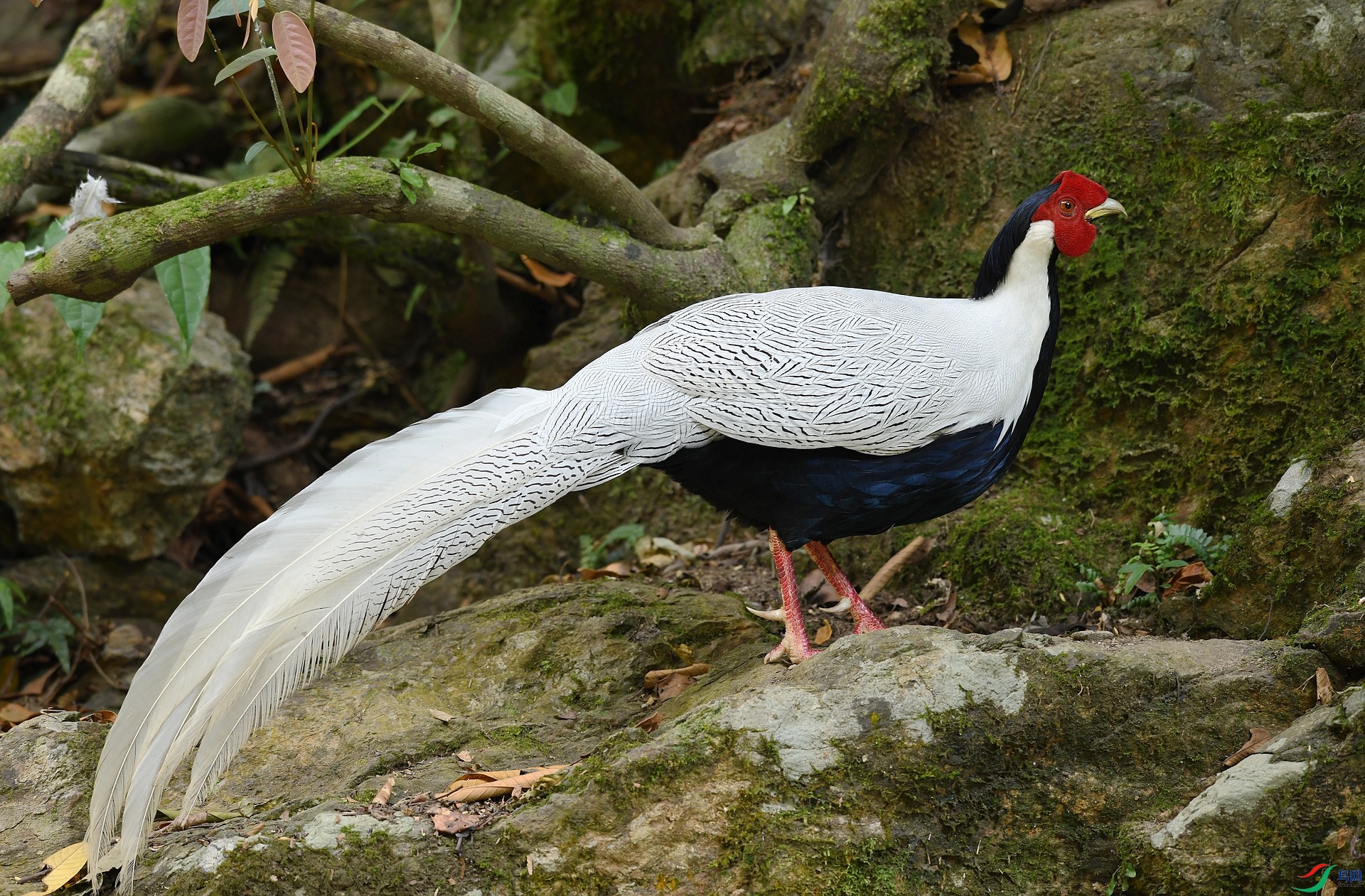 DSC_8846.jpg