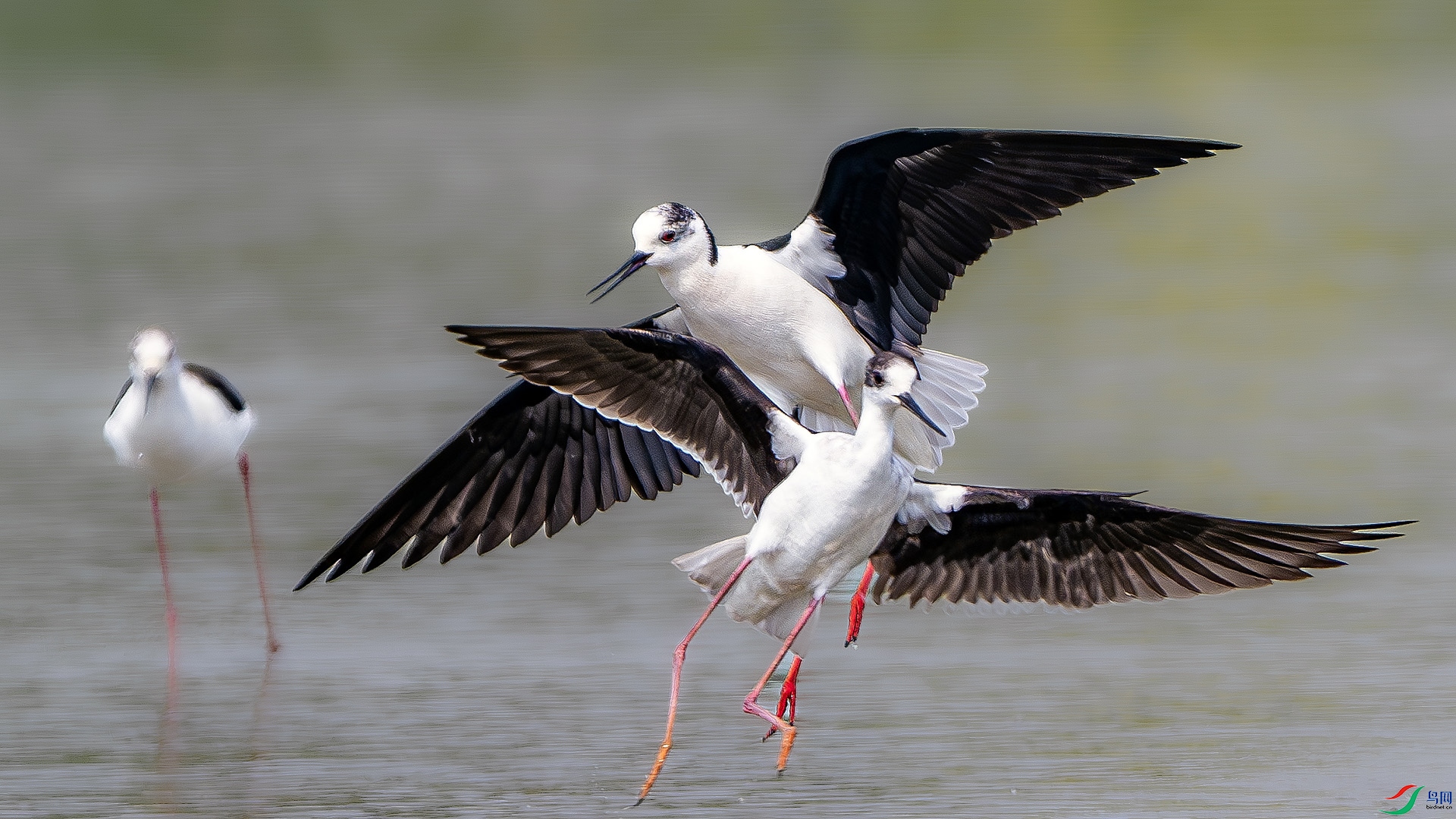 DSC_7709 ���� 2.jpg