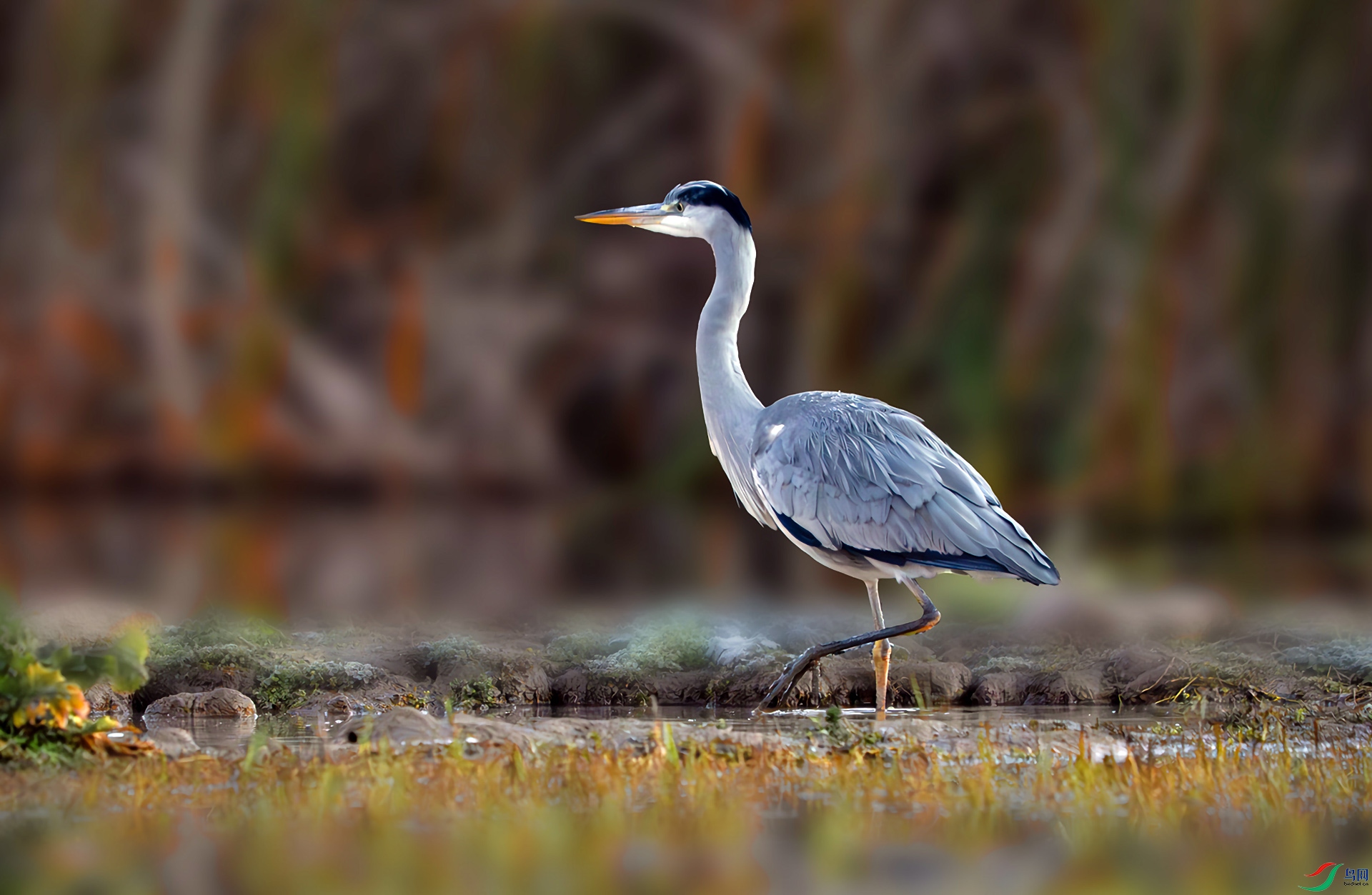 DSC07063-����ǿ-NR ����.jpg