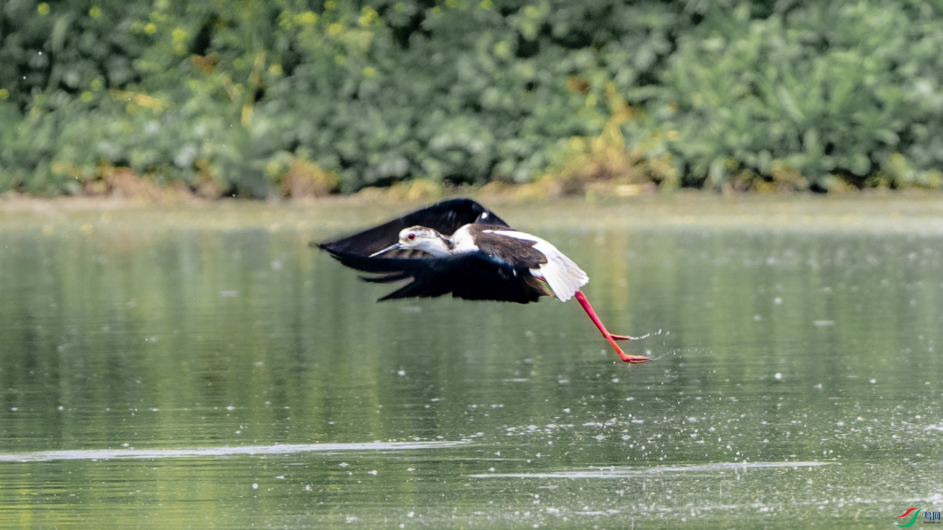 DSC_7655 .jpg