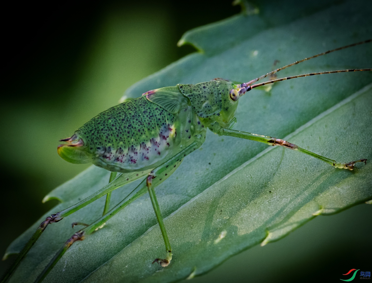 DSC_0205-topaz-upscale-2x_����.jpg
