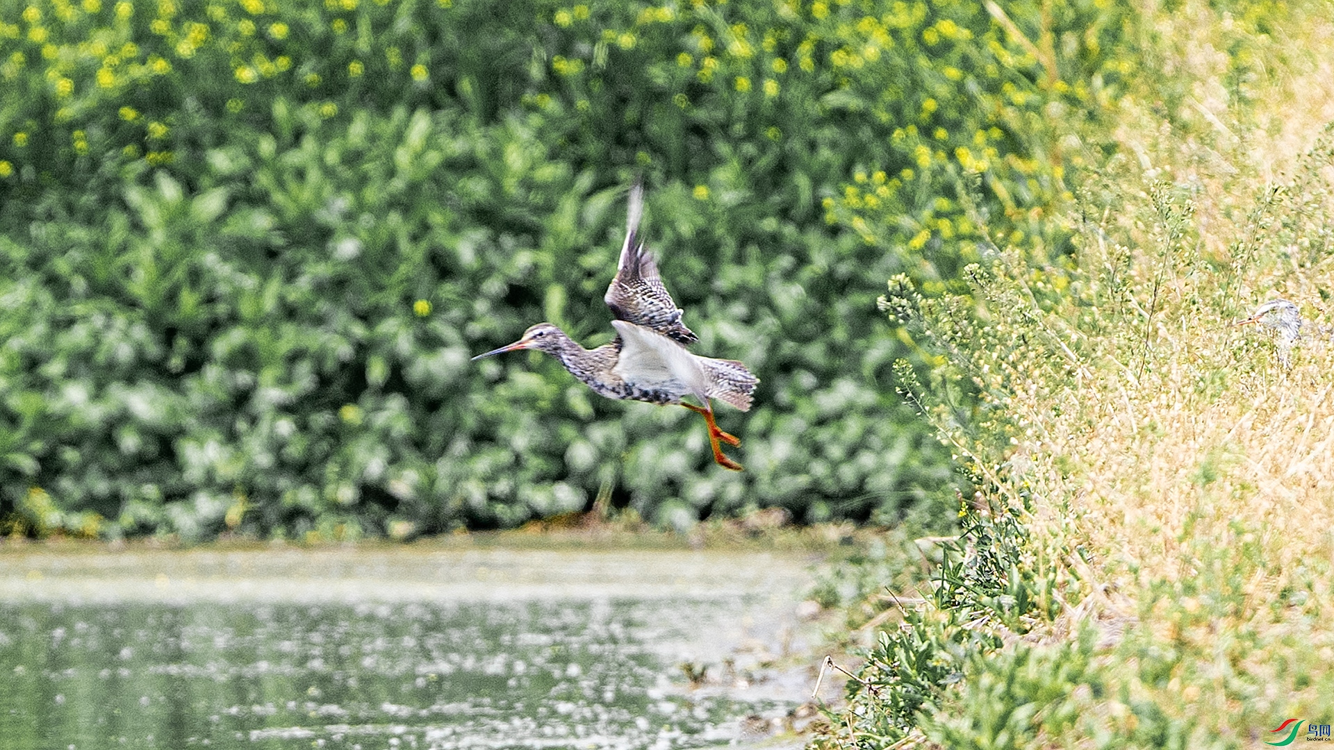 DSC_7656.jpg
