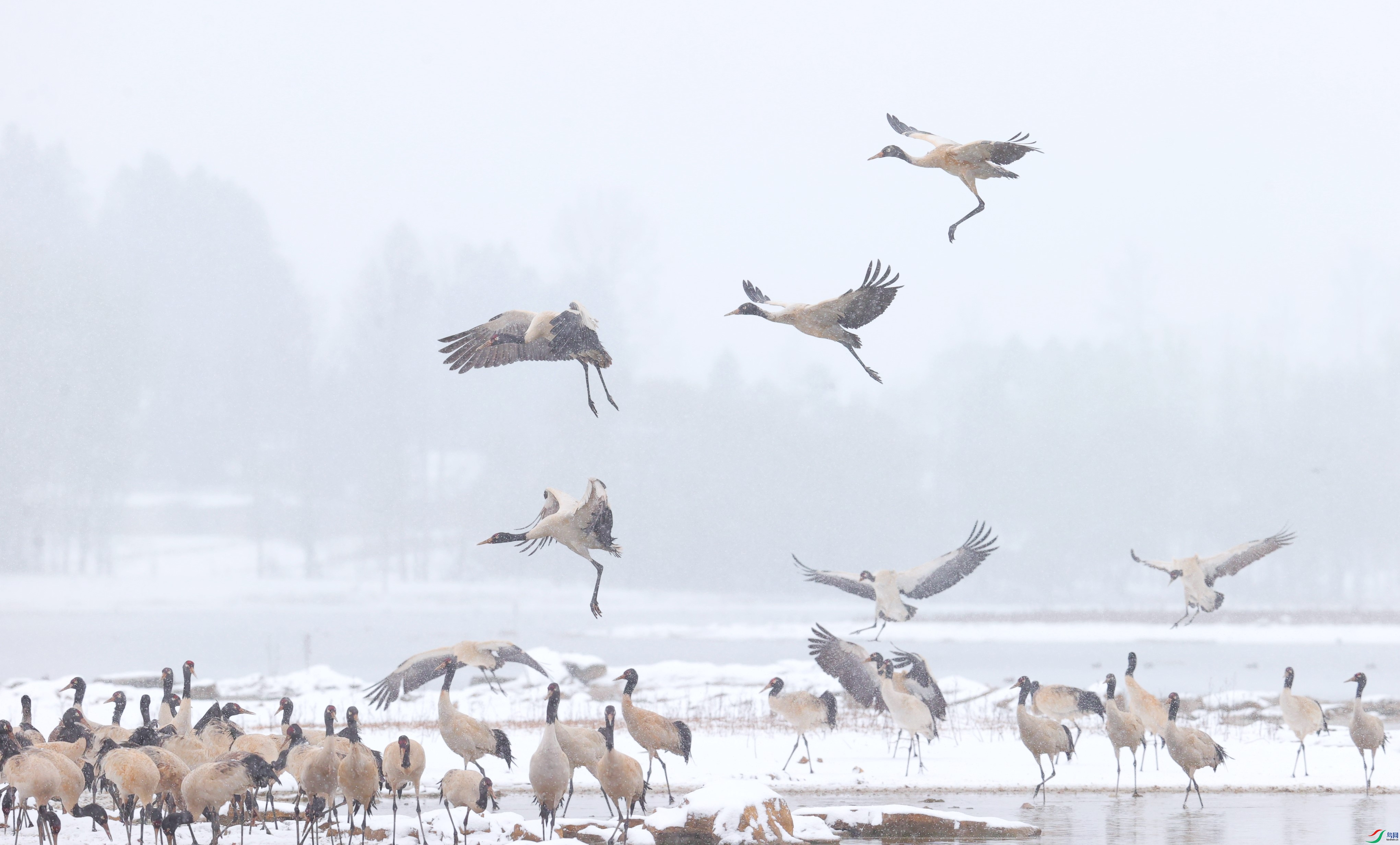 ���� (2).JPG