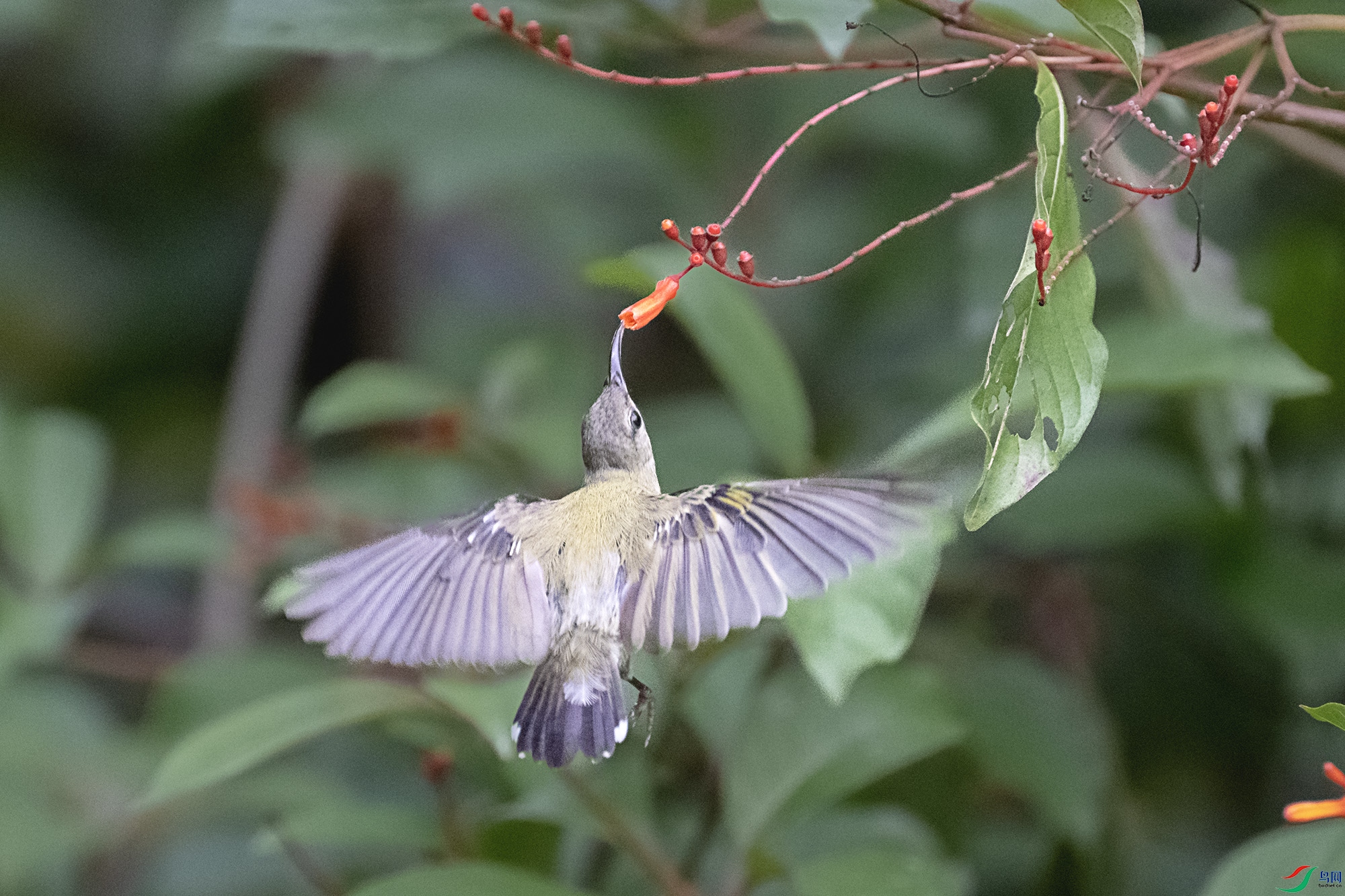 DSC_3571.jpg