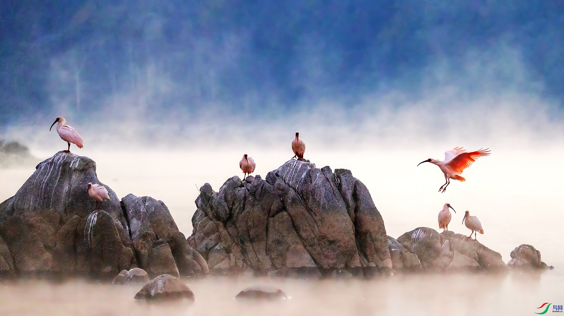 _07A5694 ����-Sha---1 .jpg