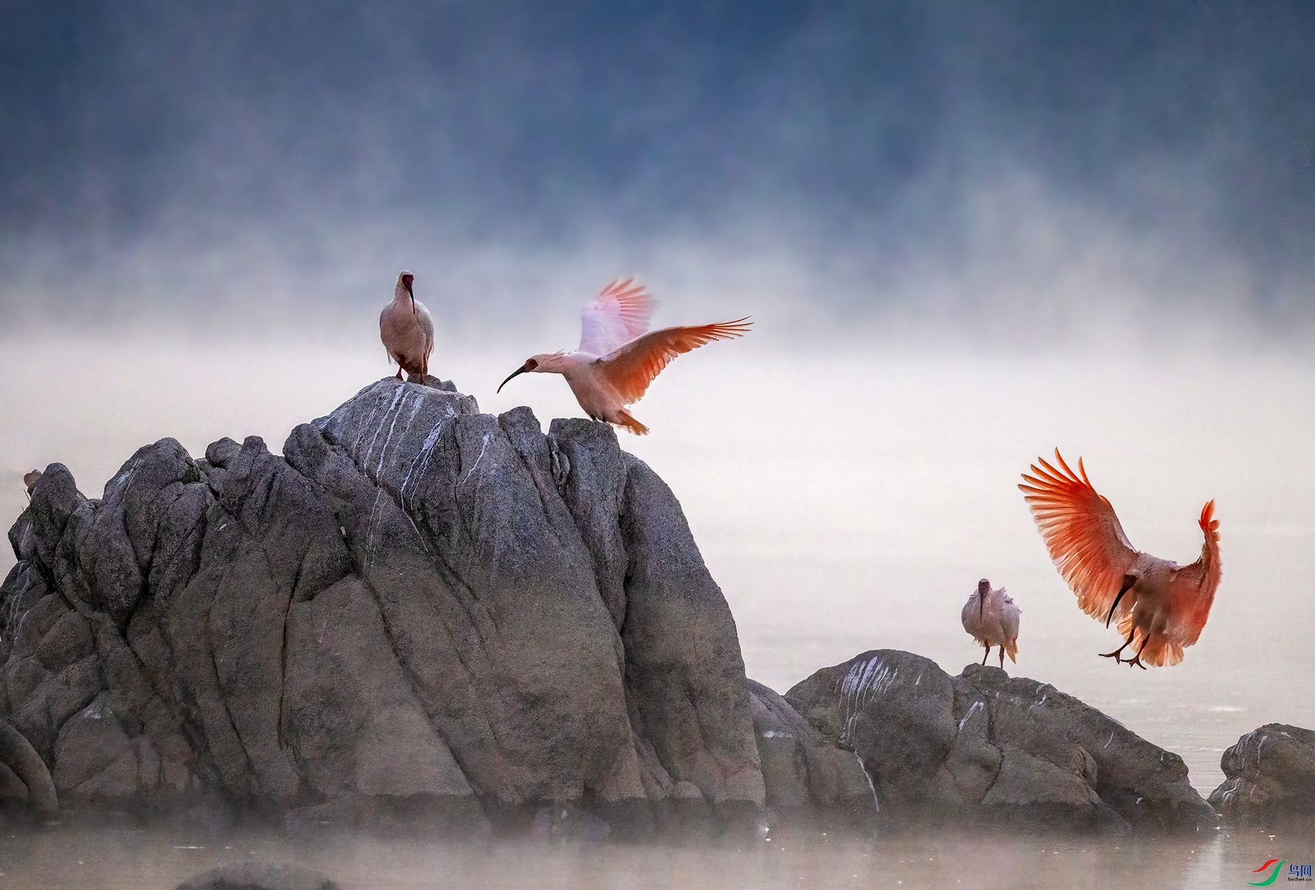 _07A5675 ����-Sh---1 .jpg