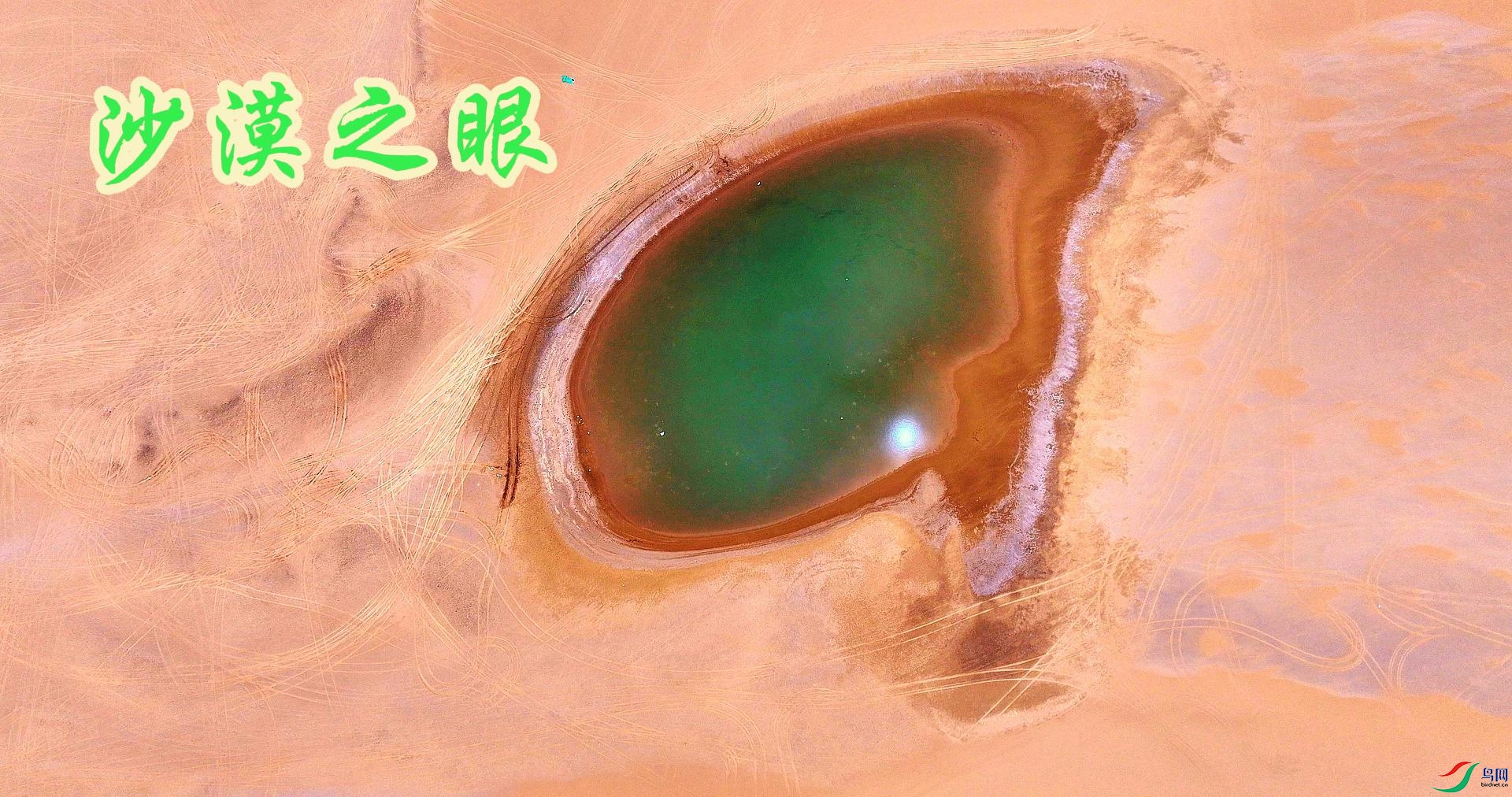 ɳĮ֮��2-����.jpg