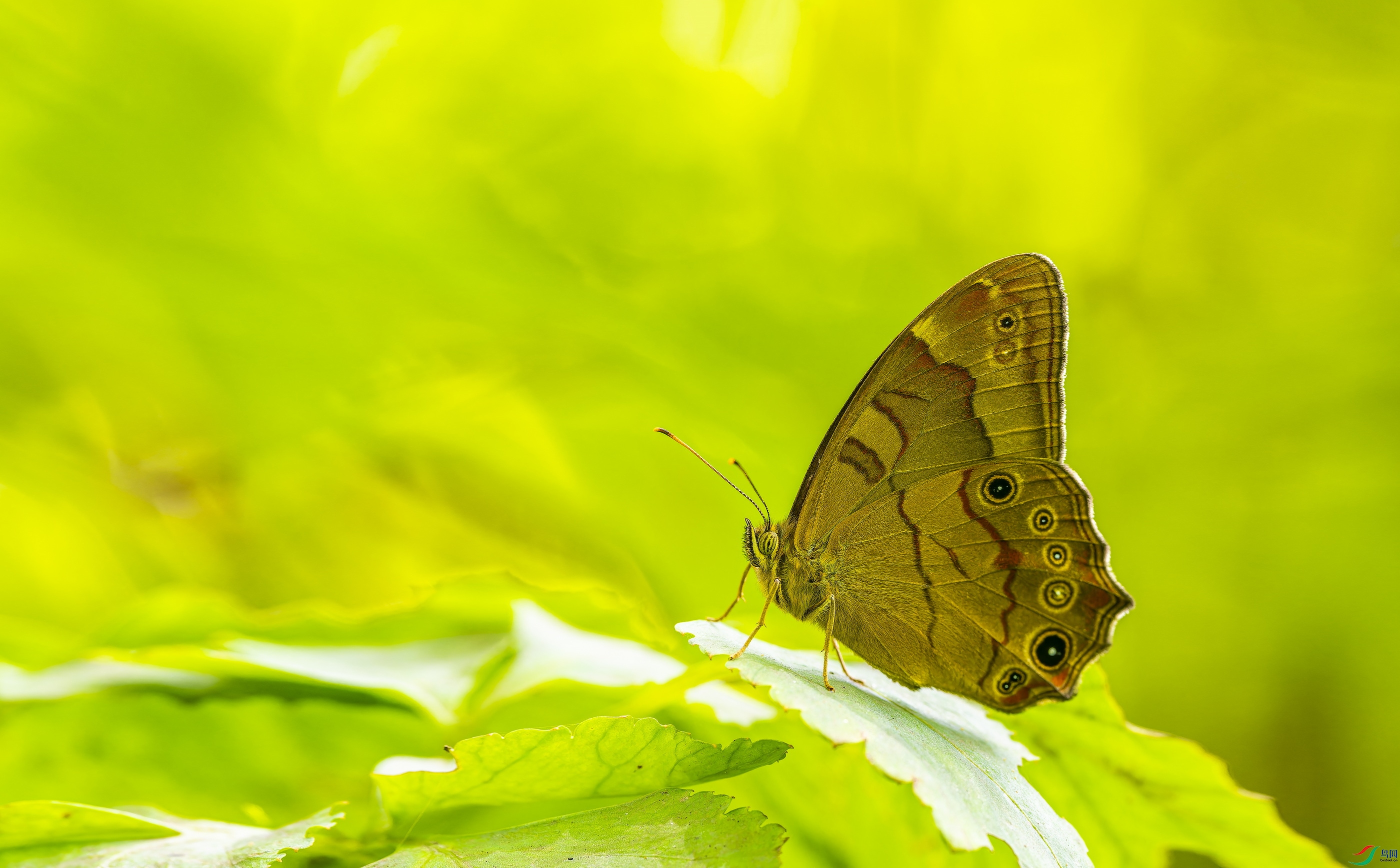 ��ɽ���۵� (125)-01.jpg