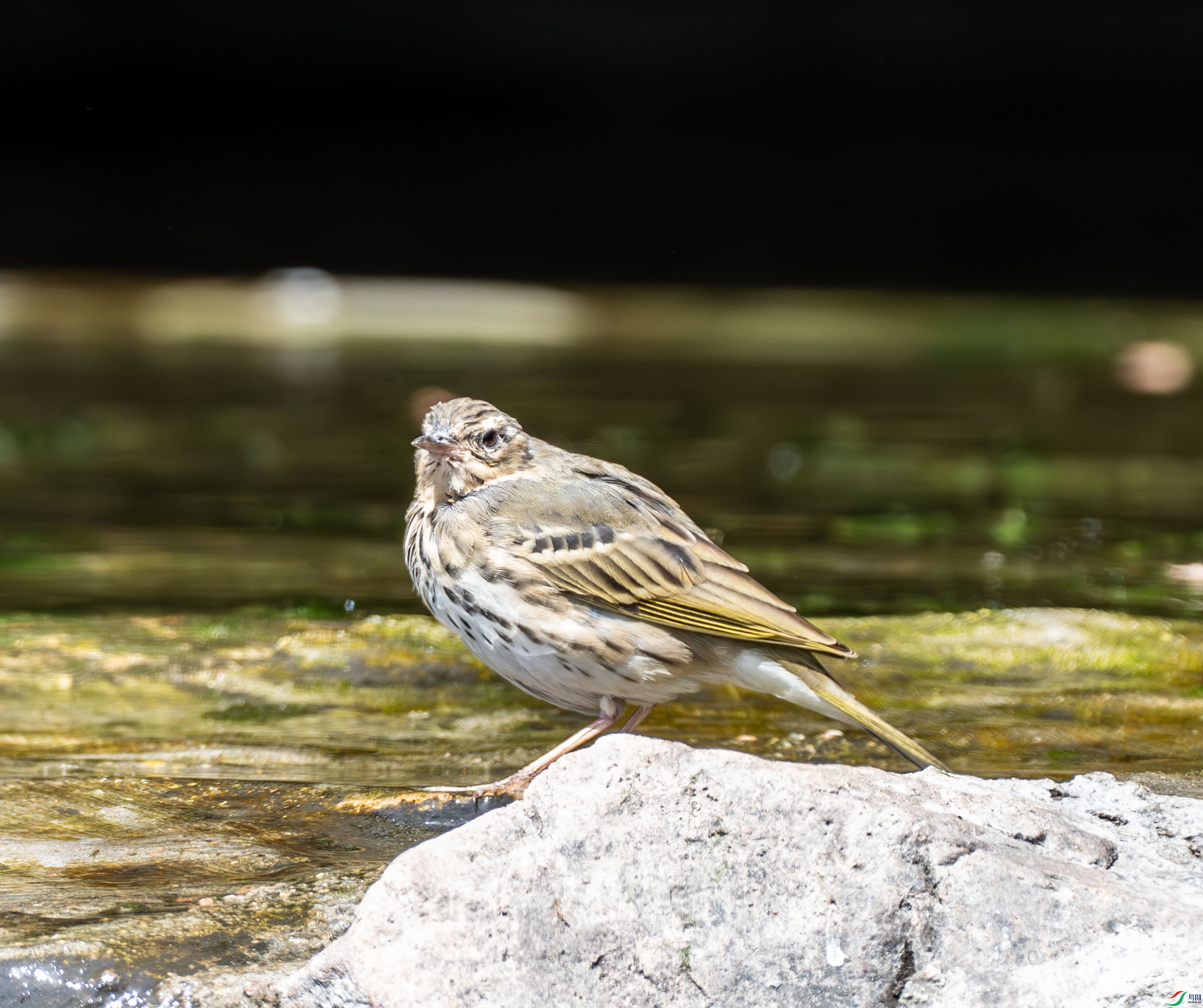 ���� (4 - 4).jpg