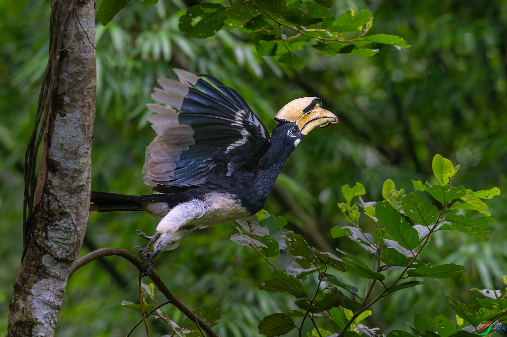 DSC_9286-DxO_DeepPRIME XD2s_XD-2.jpg