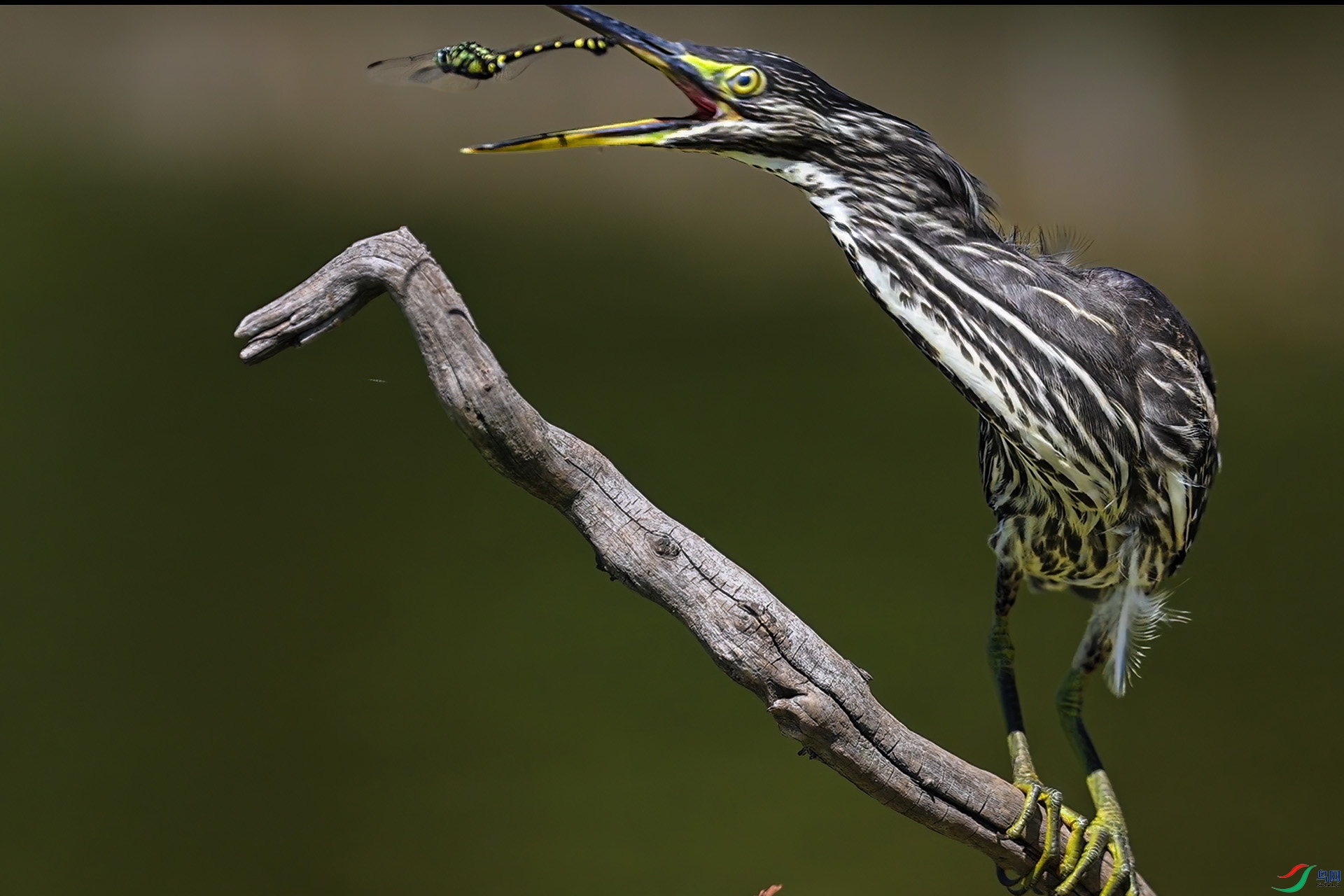 7��30�� (1)(1)-1.jpg