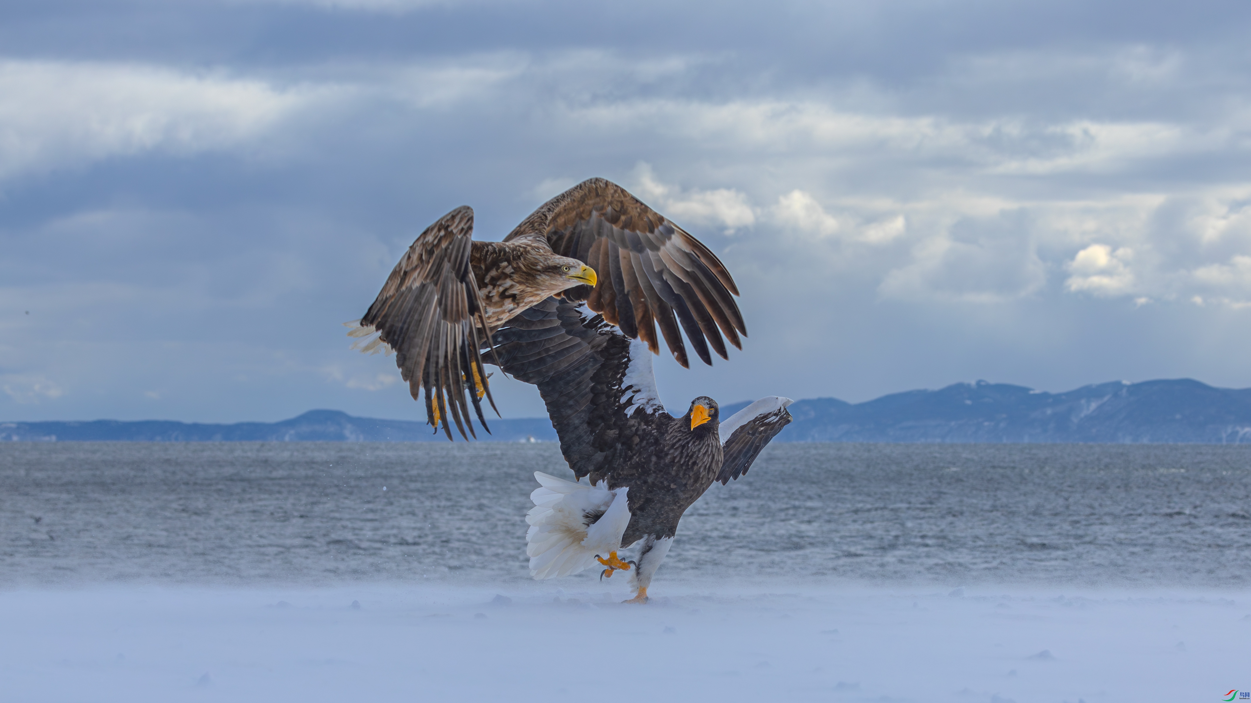 0D7A5992-����ǿ-NR.jpg