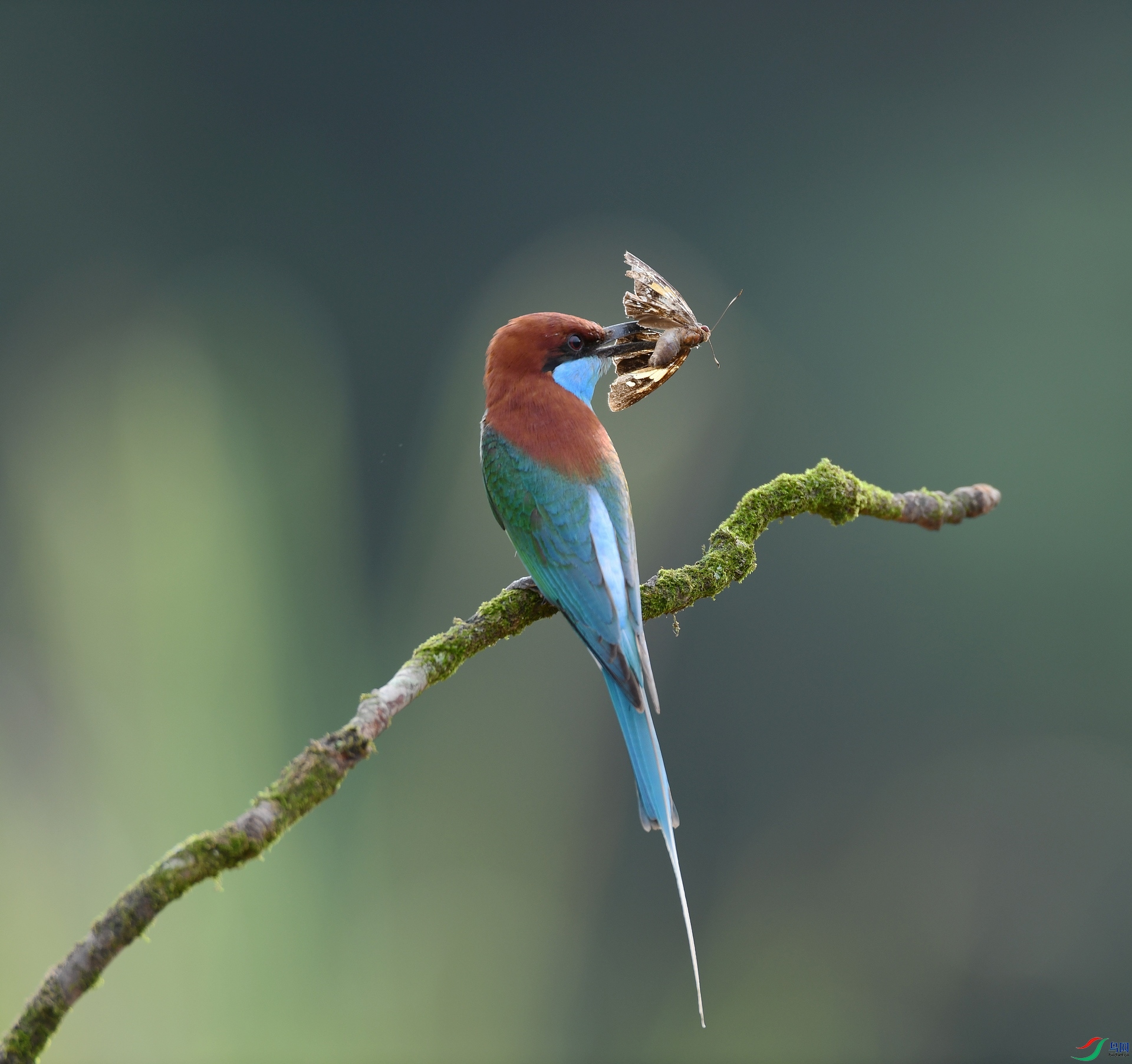 DSC_2567.jpg