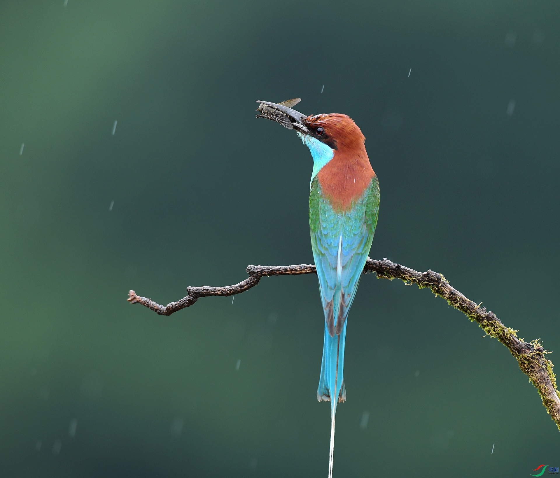 DSC_2445.jpg