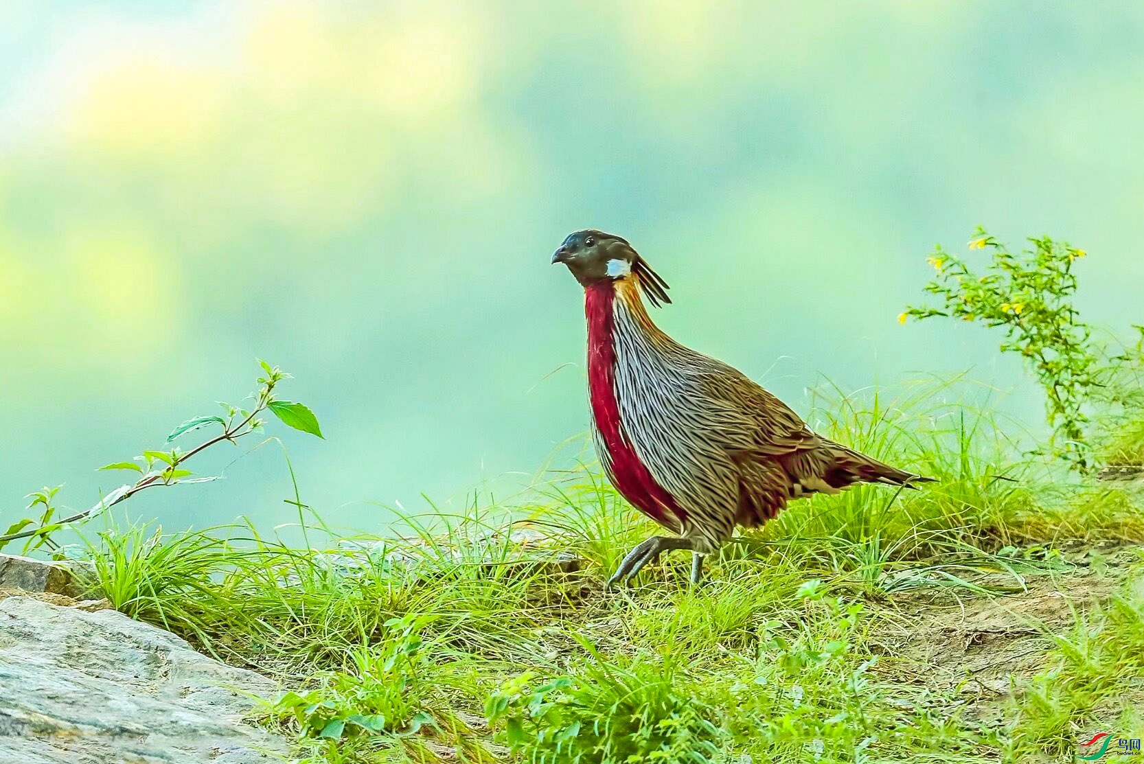 psc (3) ���� 3.jpg