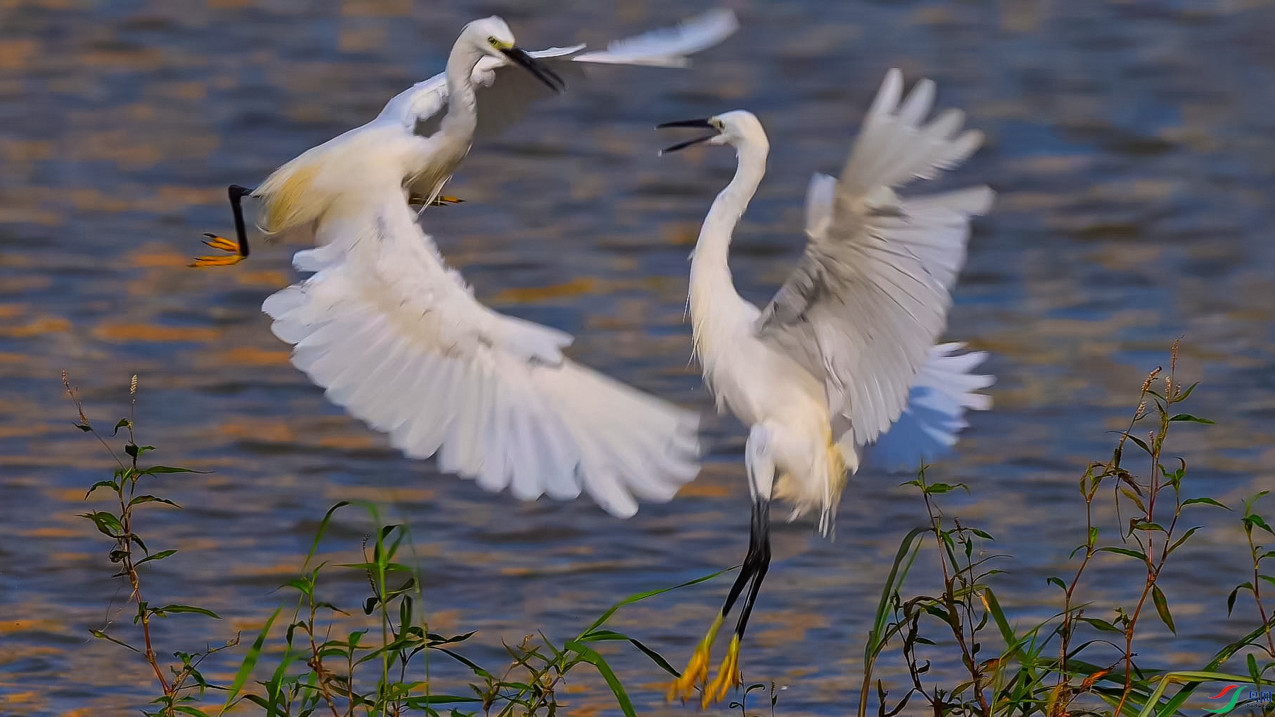 �����е���ʿ-���� ����.jpg