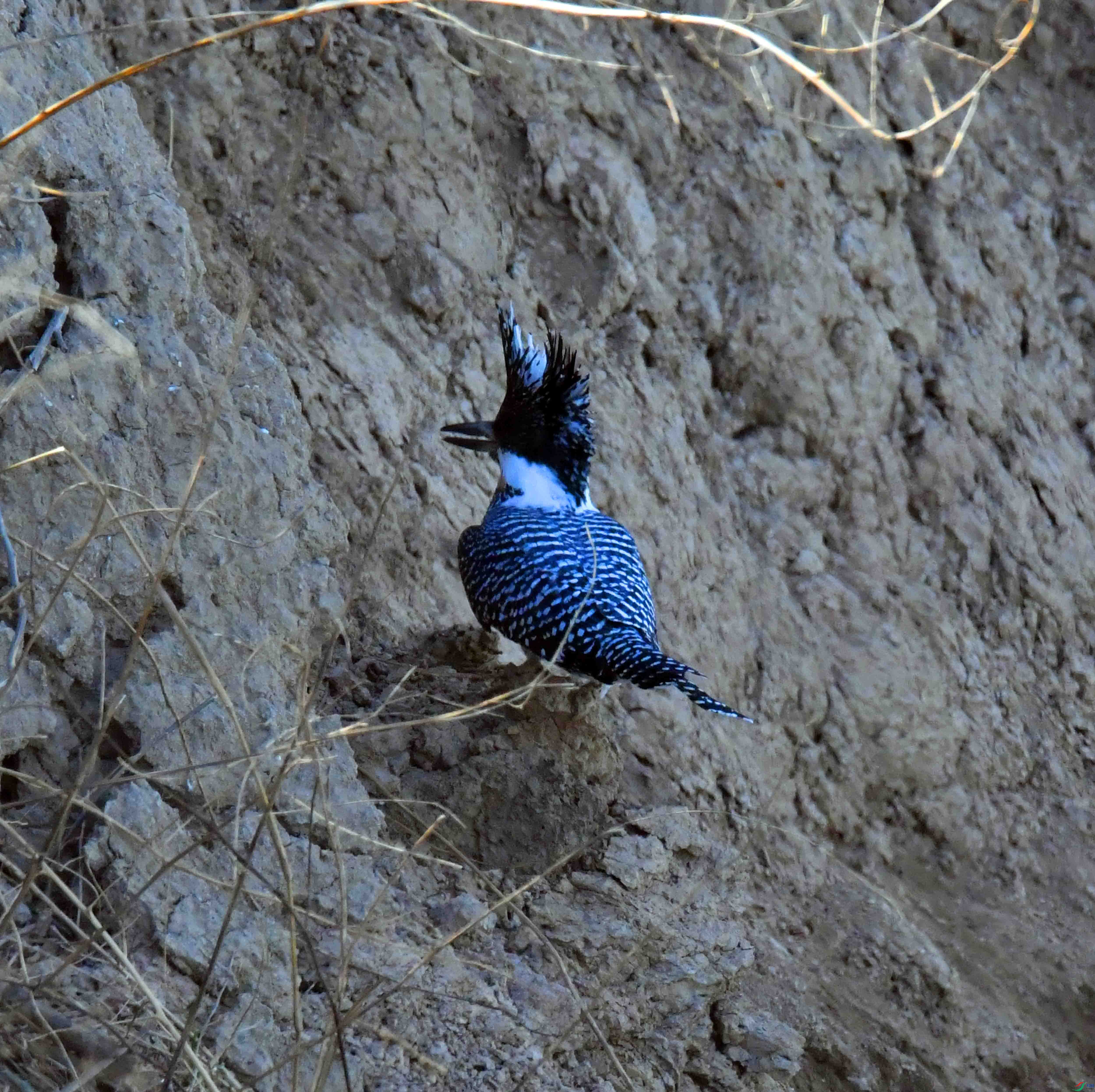 DSC_3037.JPG