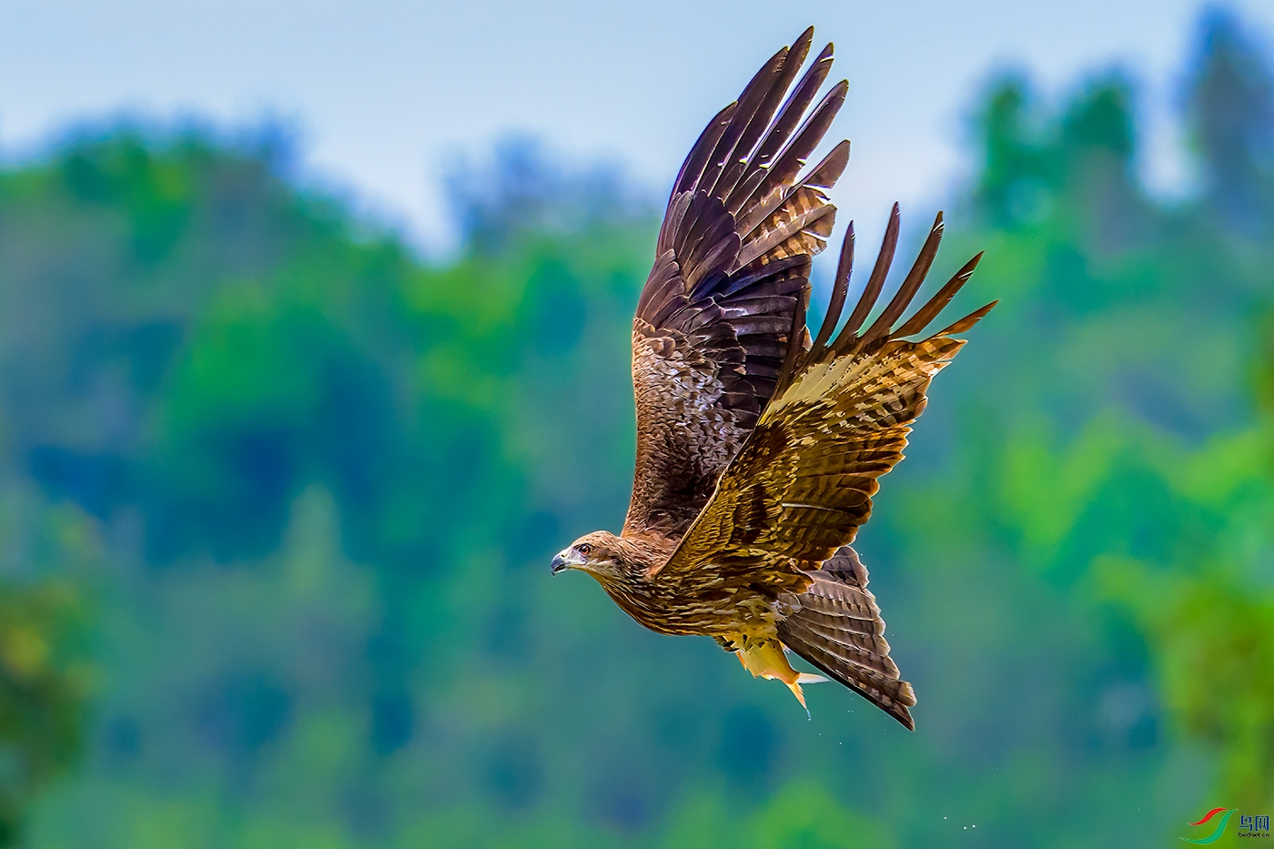 DSC_6777b.jpg