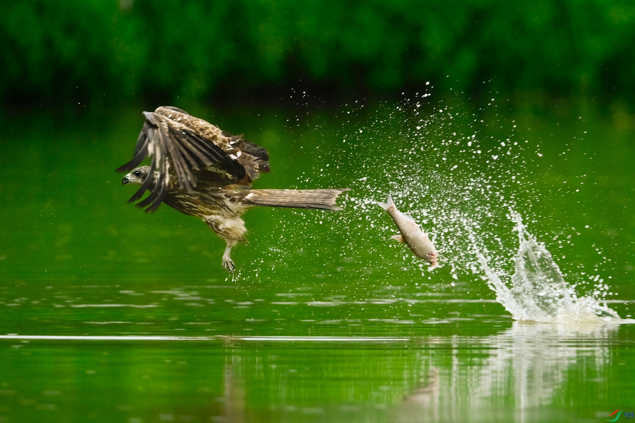 _DSC5077x.jpg