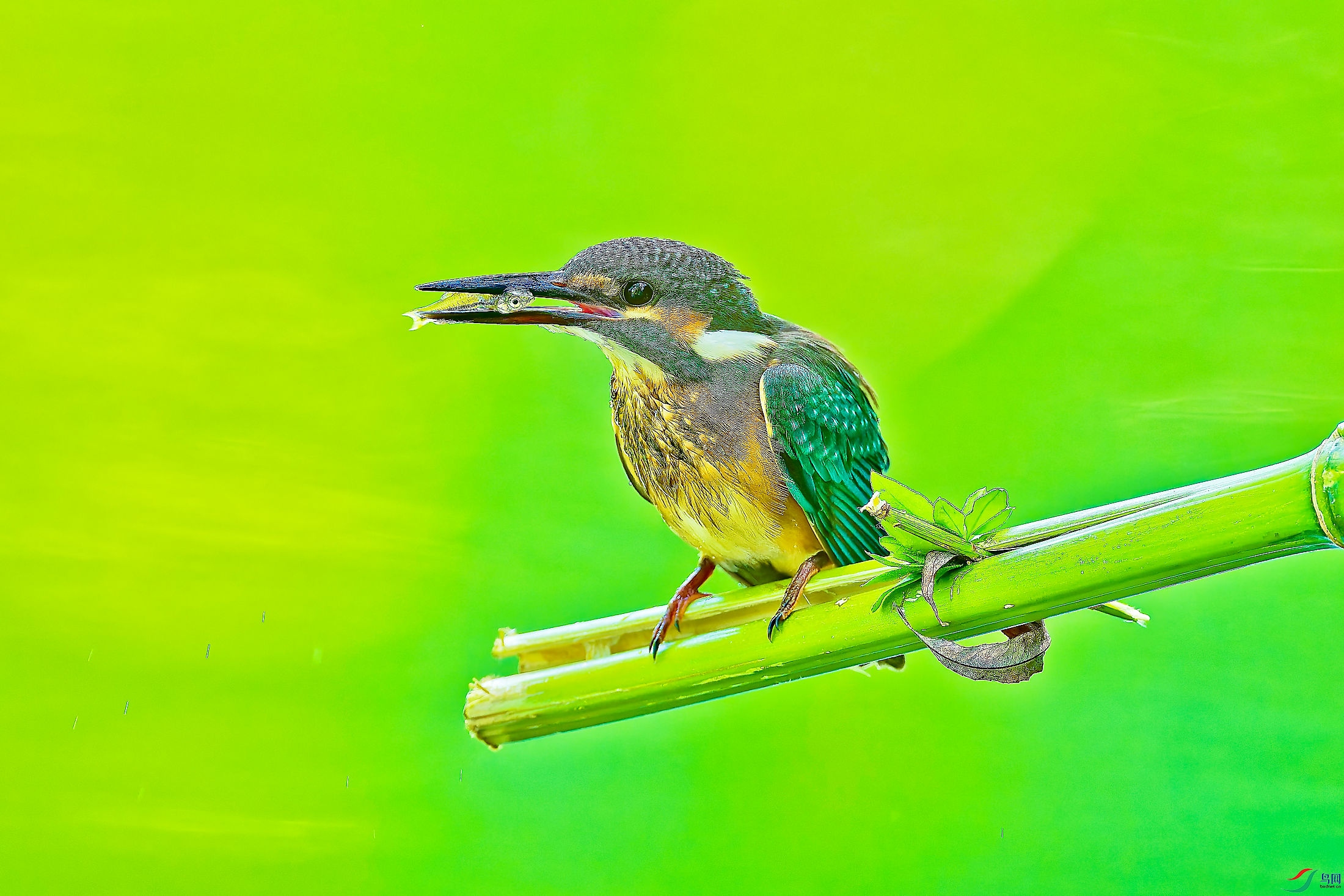DSC_9644_DXO_2_DXO.jpg