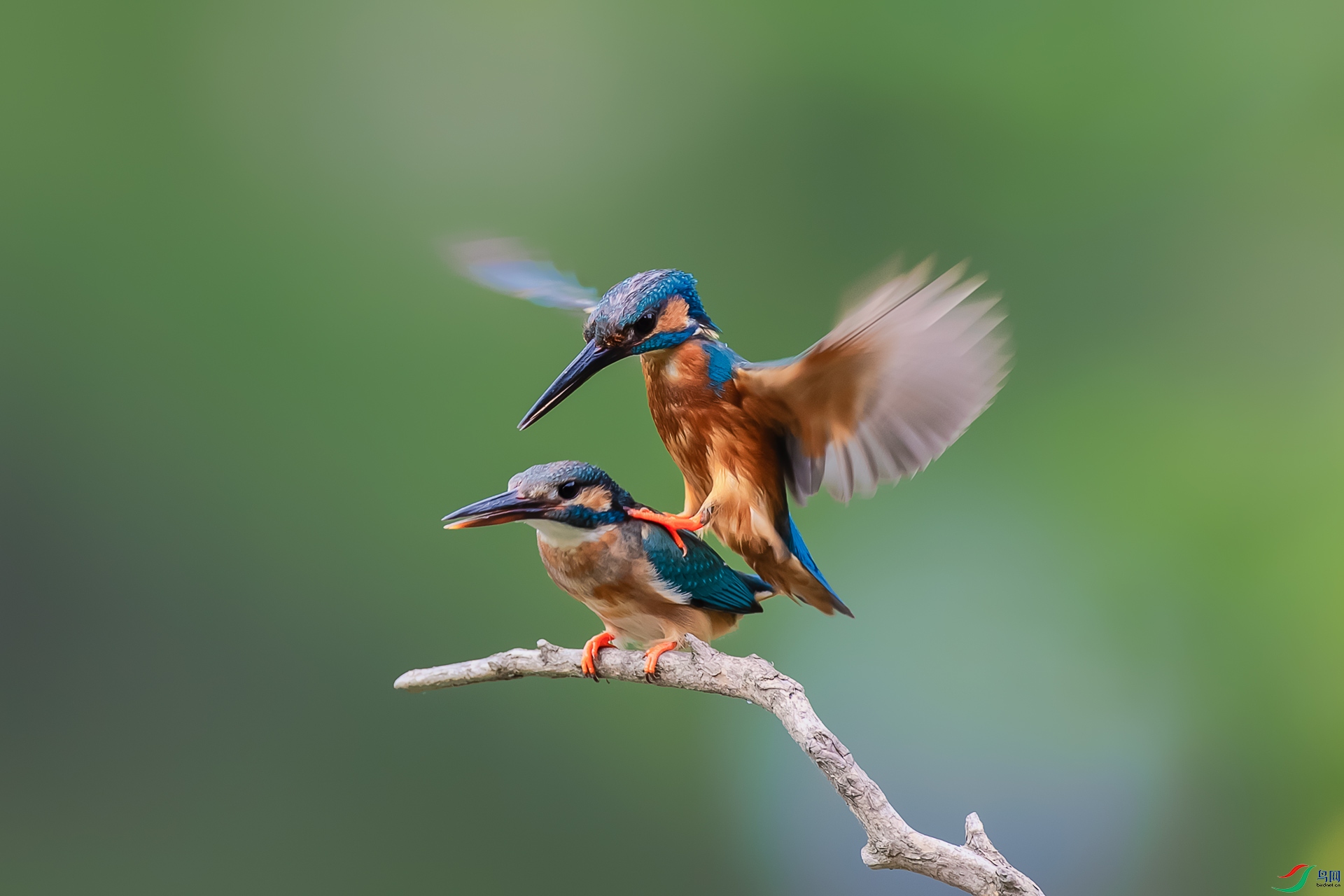 AK8I8221 - ����.jpg