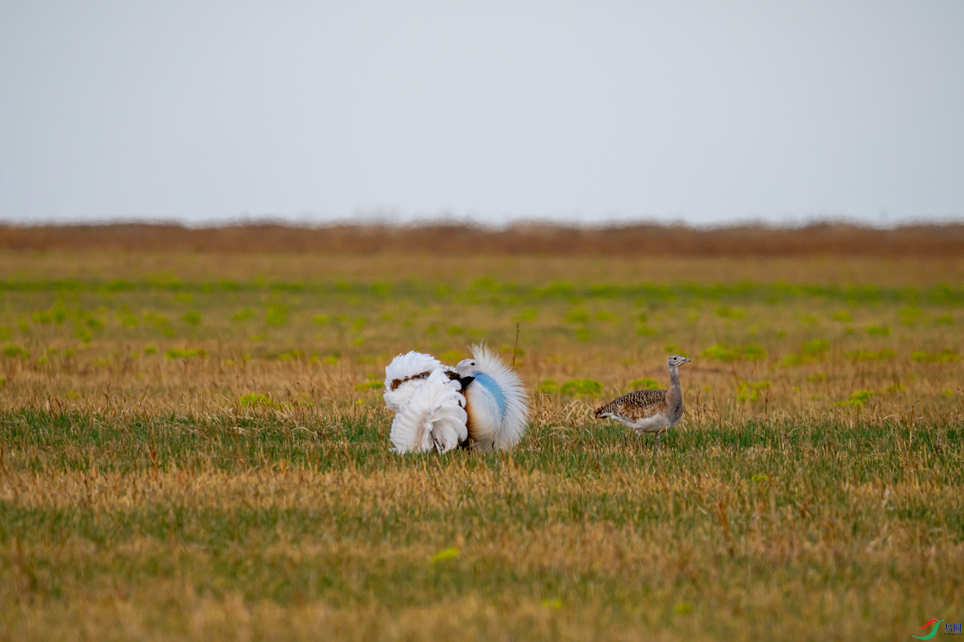 DSC01108-1.jpg