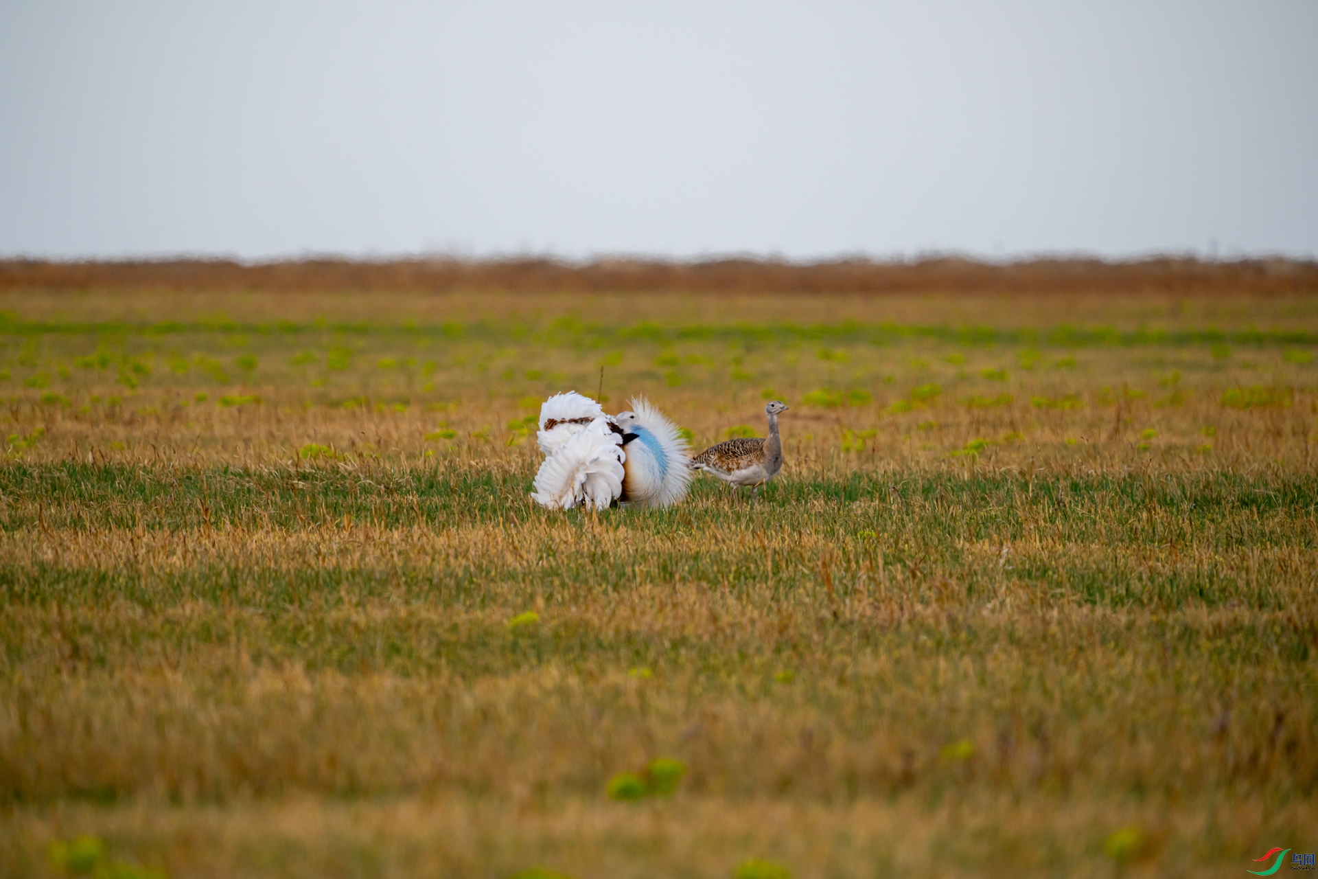 DSC01119-1.jpg