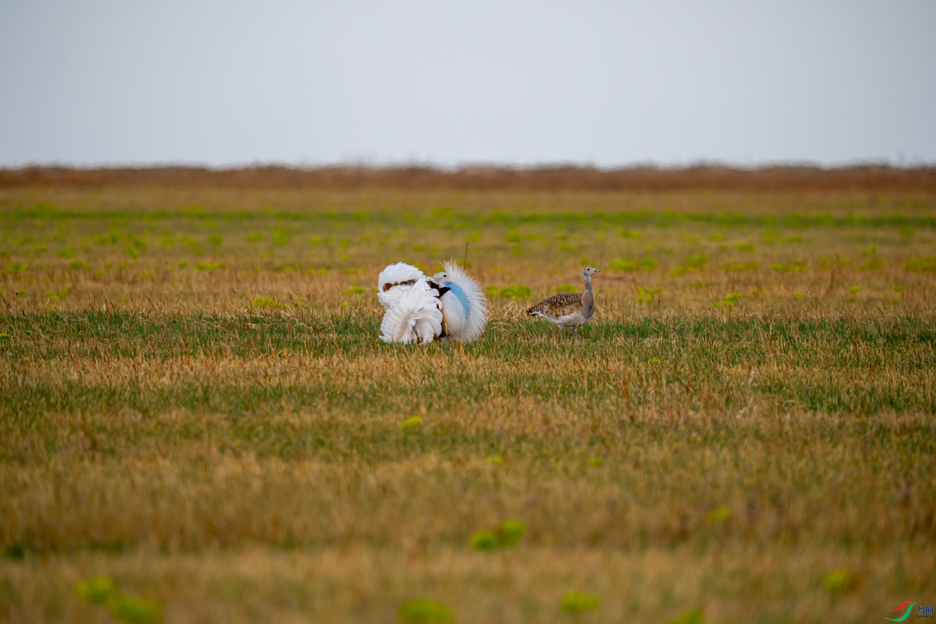 DSC01112-1.jpg