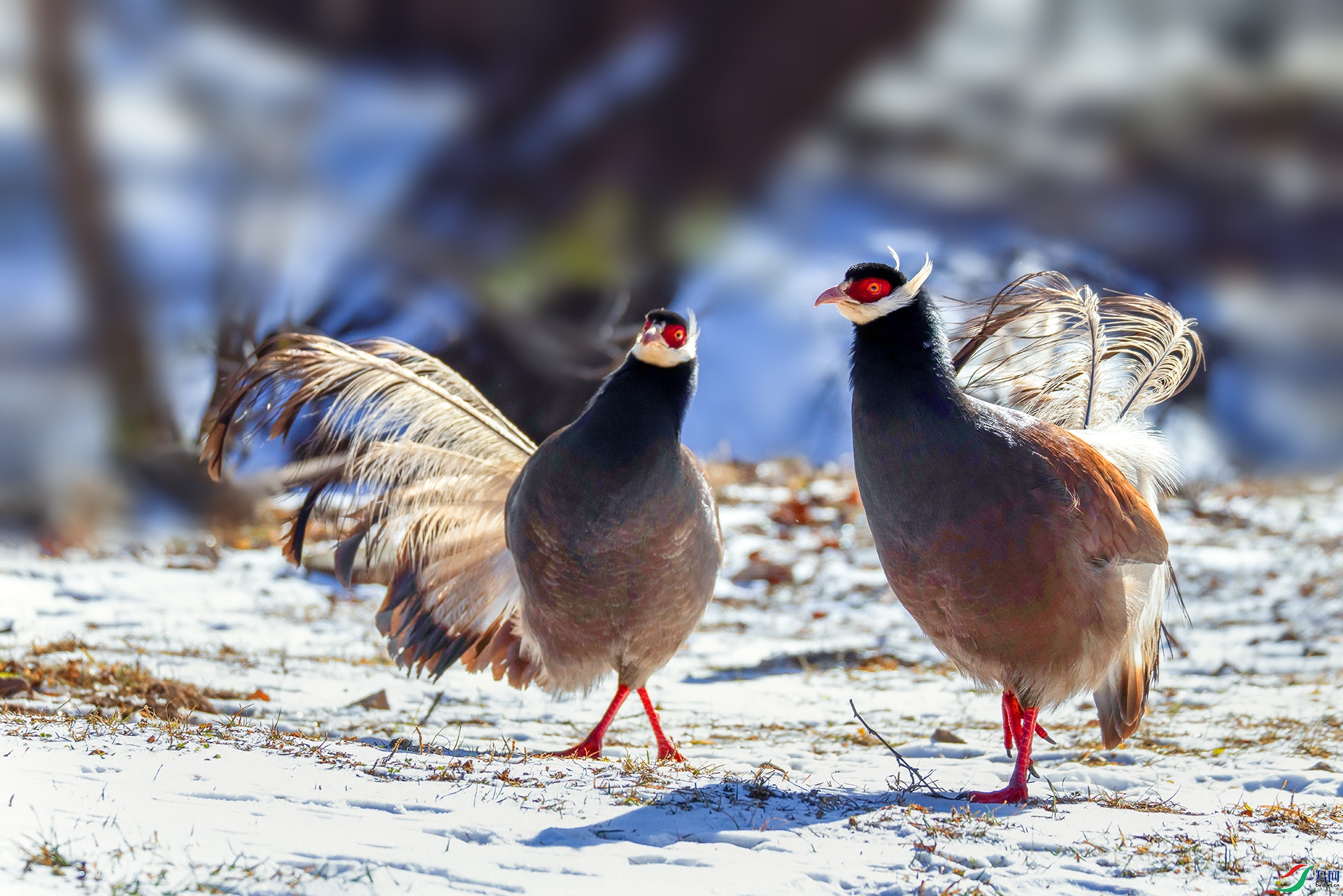 _07A7552 ����----1 .jpg