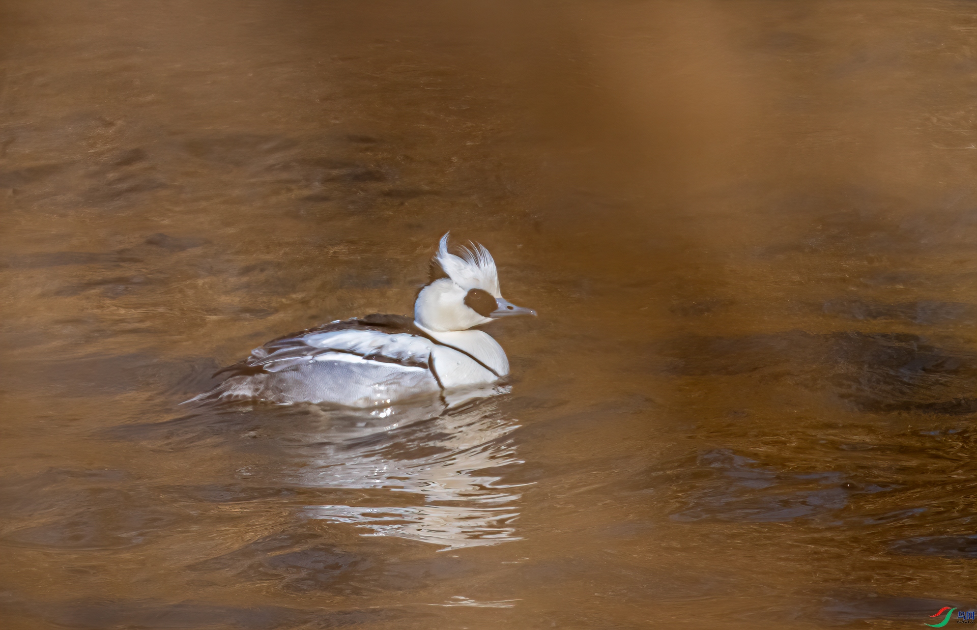 DSC_1889-11.jpg