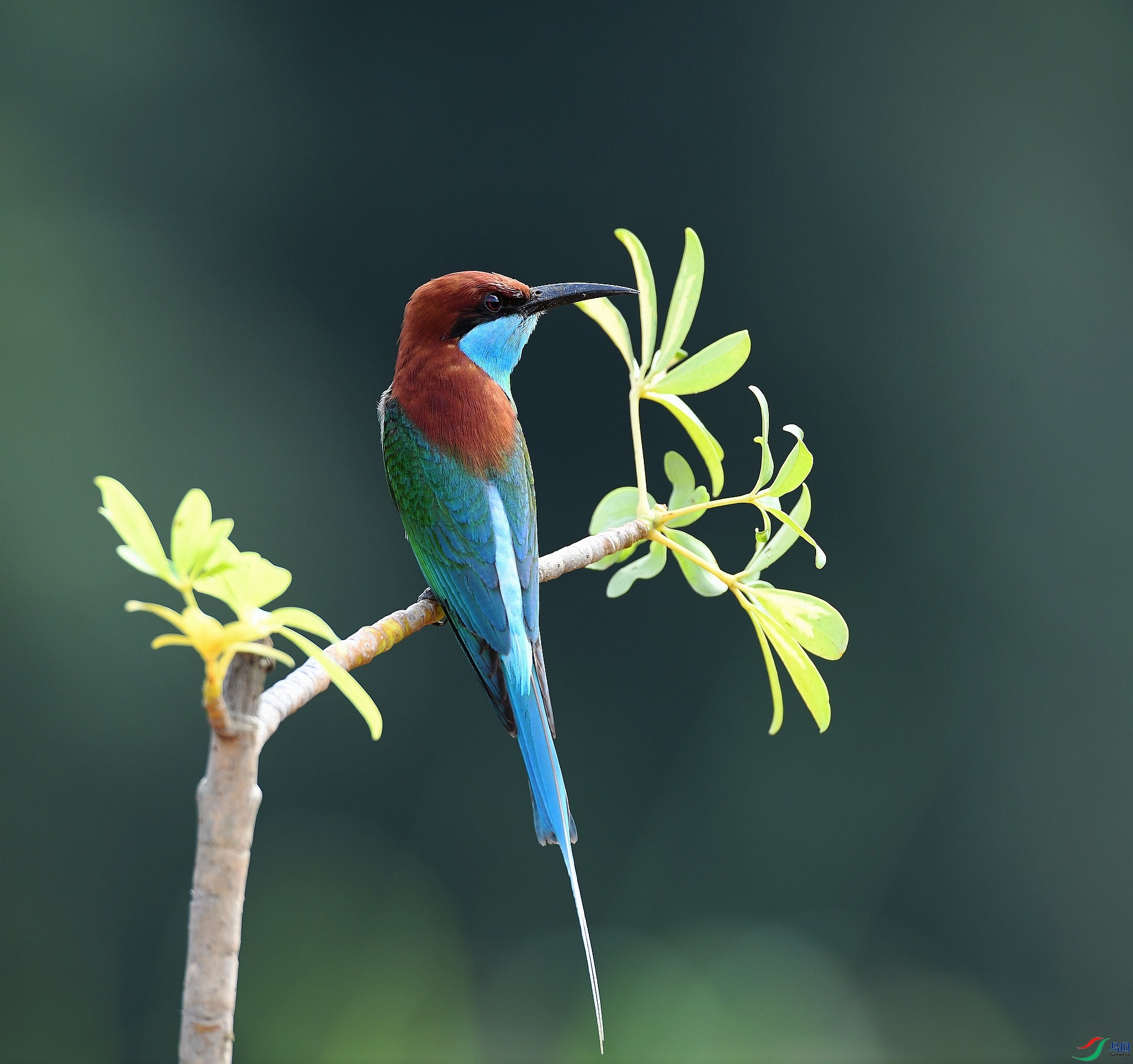 DSC_0374.jpg