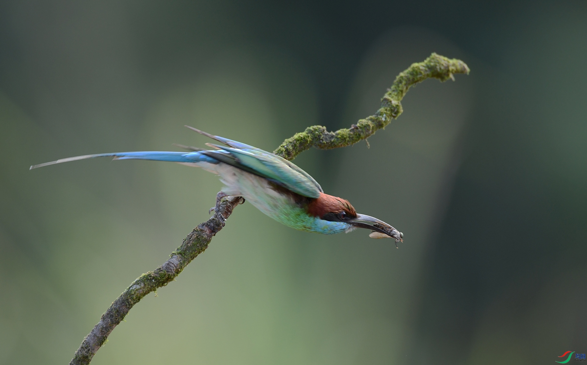 DSC_3328.jpg