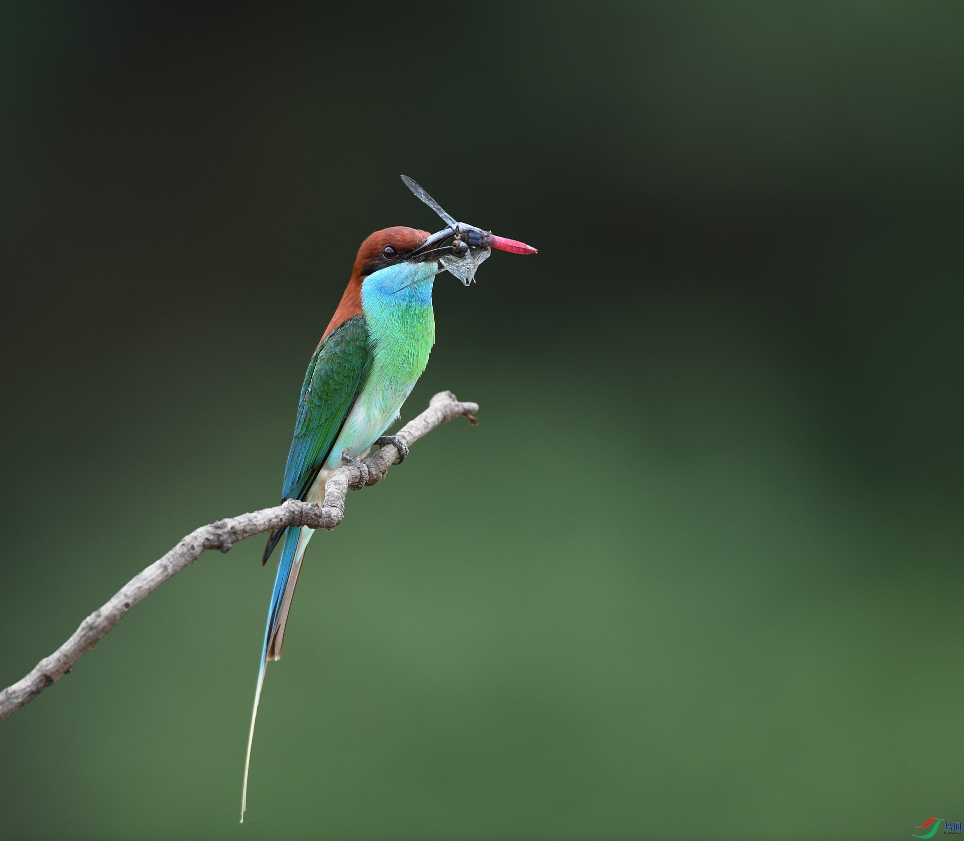 DSC_3675.jpg