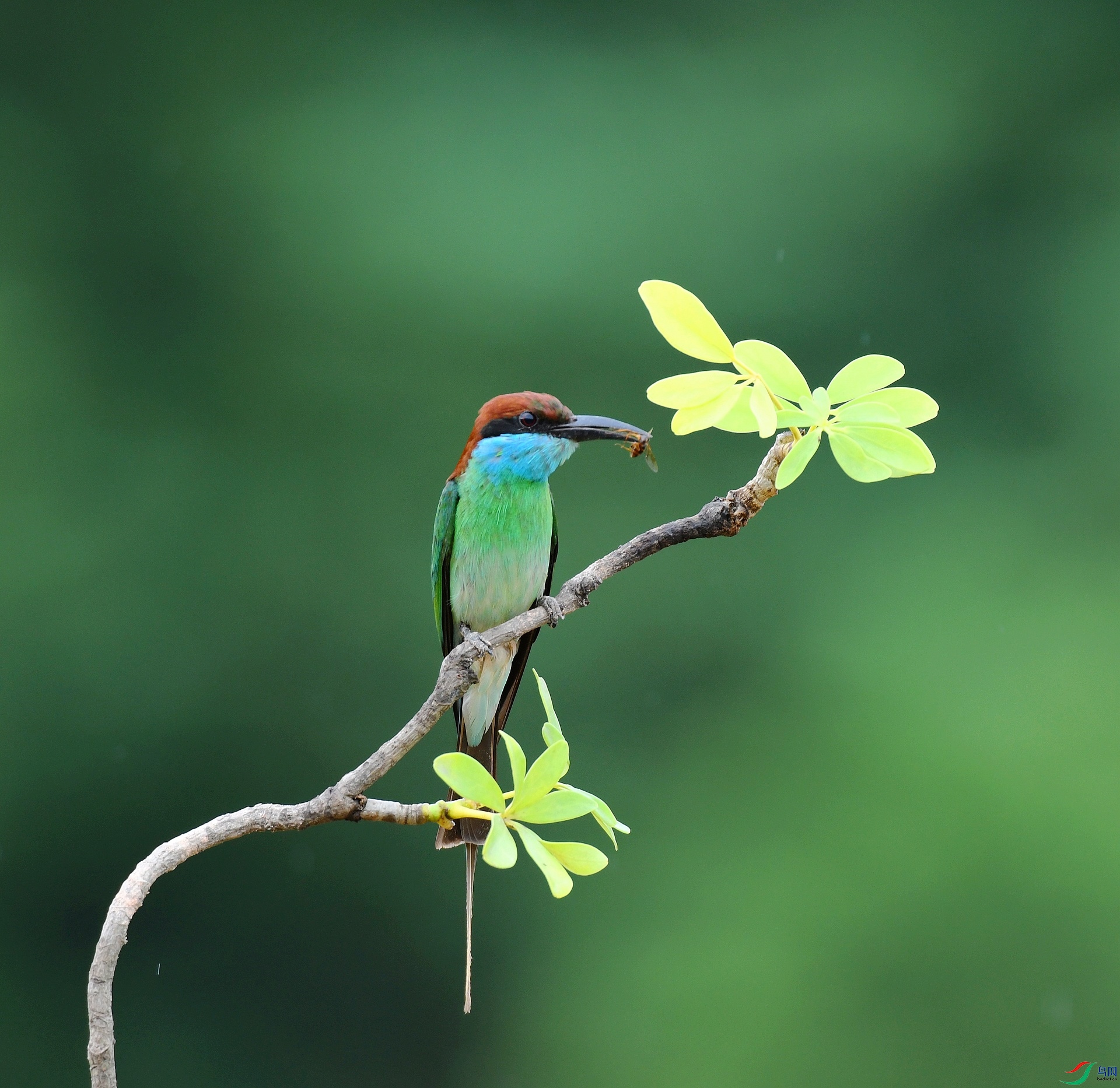 DSC_3808.jpg