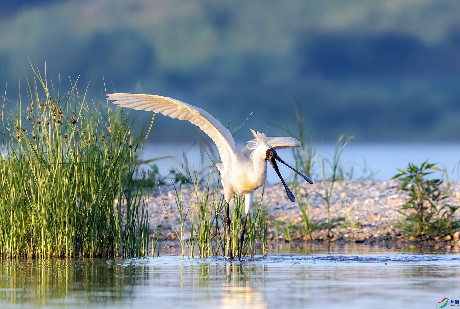 DSC01623 ���� 2.jpg