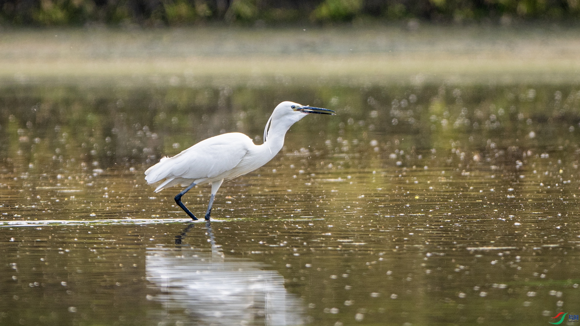 DSC_3800 ����.jpg