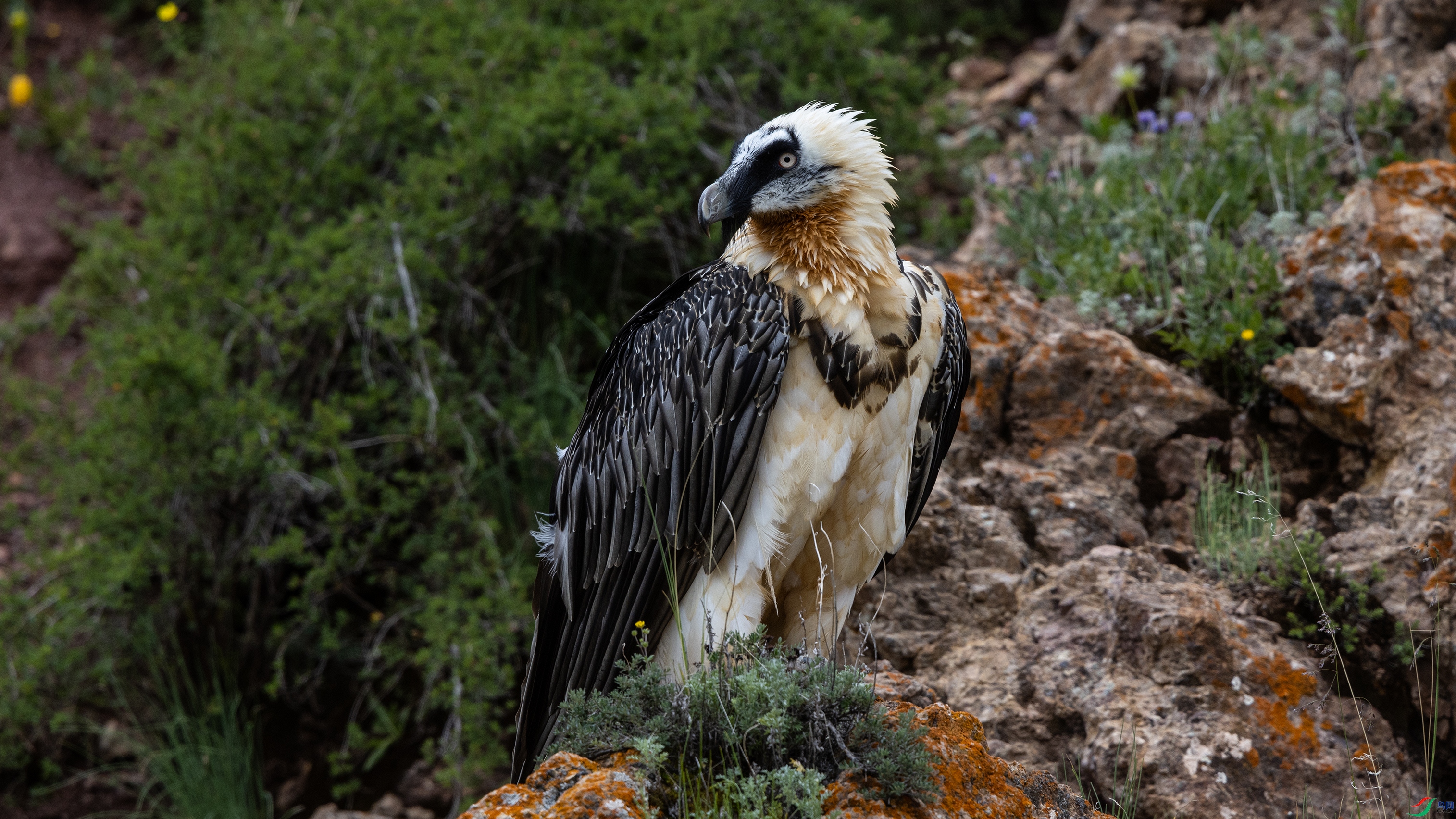 _O7A1957 ����4444.jpg