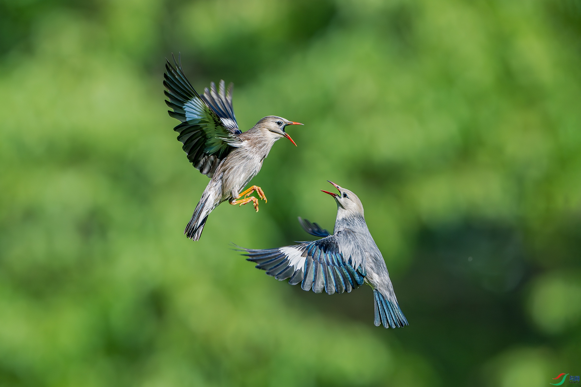 _DSC0496-����ǿ-NR ����С.jpg