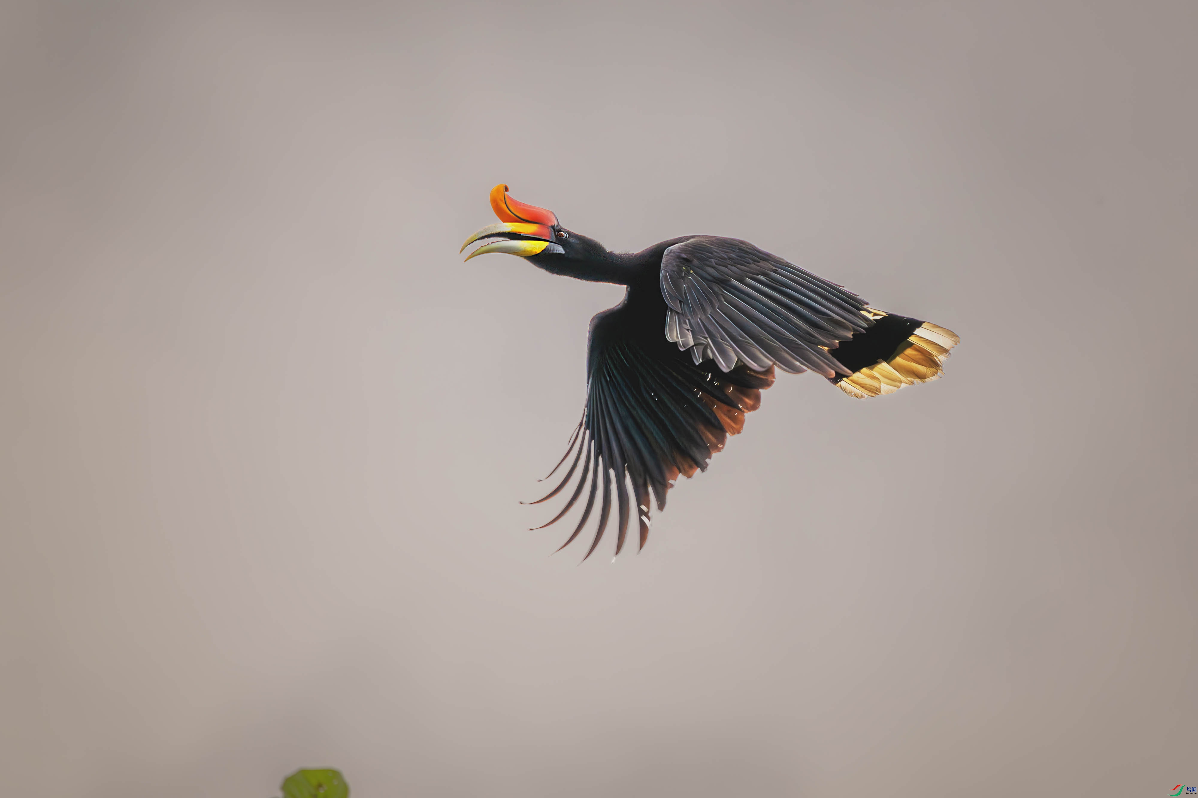 DSC_0157-����ǿ-NR ����1.jpg