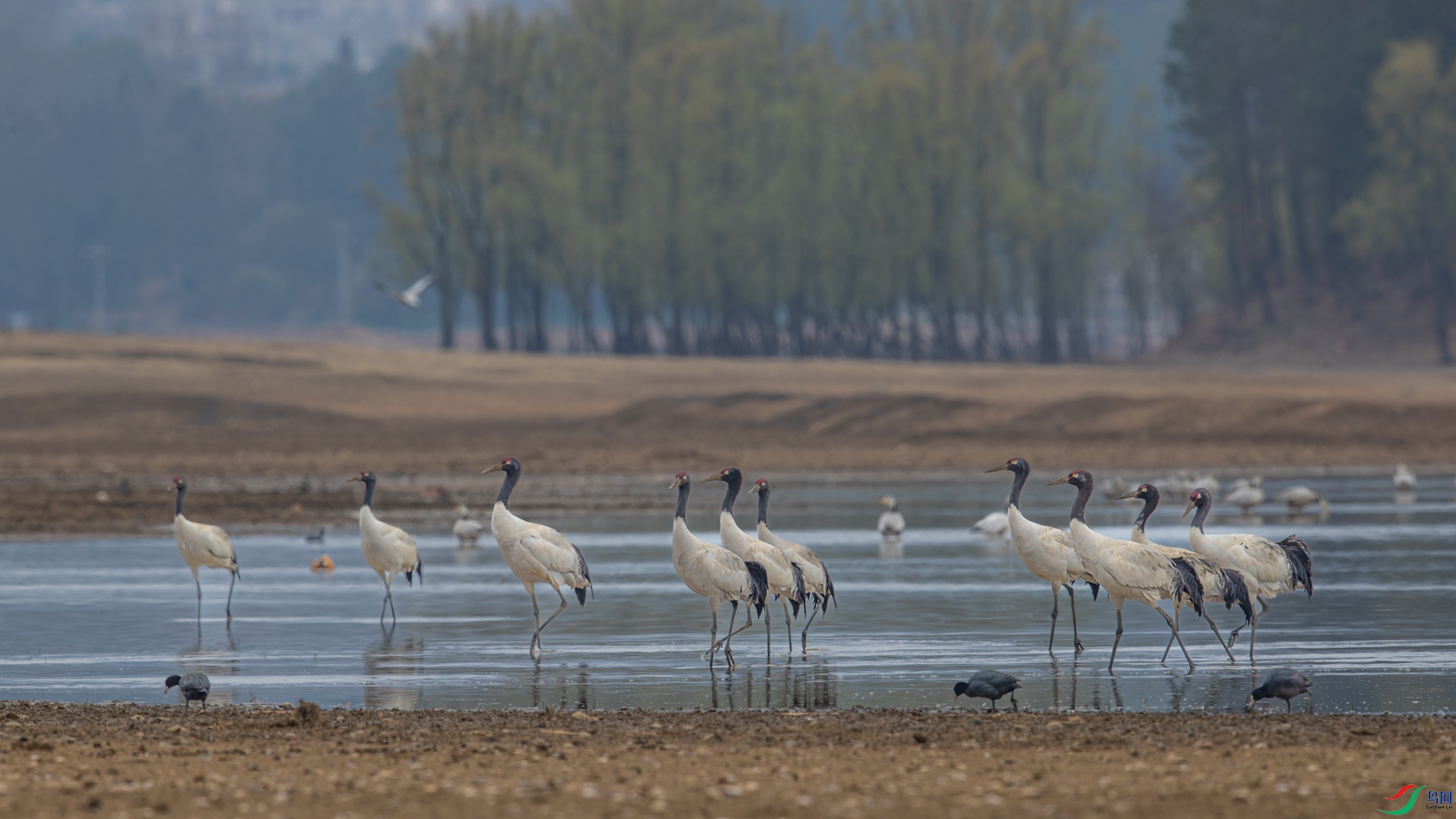 AR2I4668-CR2_DxO_DeepPRIMEXD-1.jpg