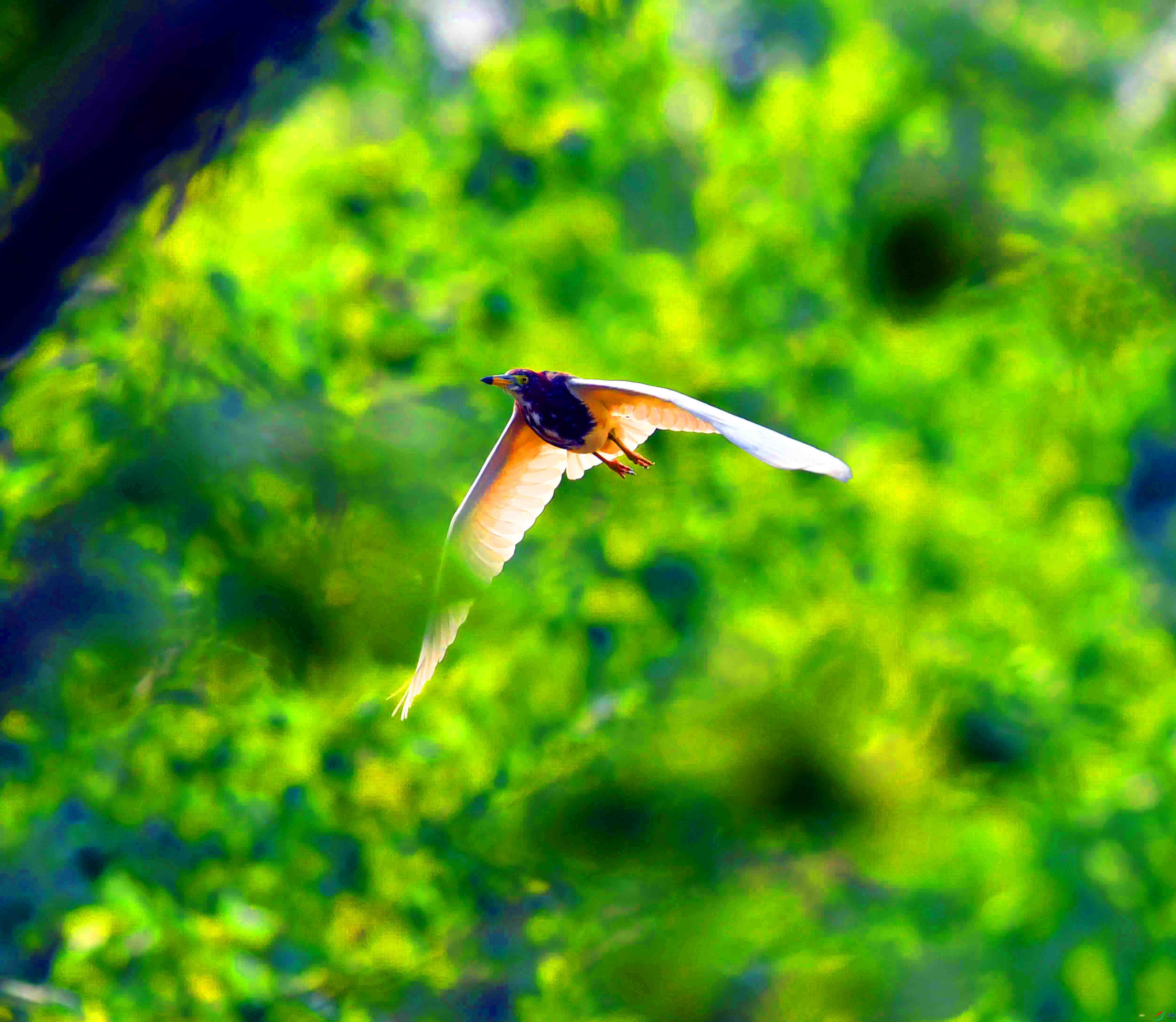 DSC_1600.JPG