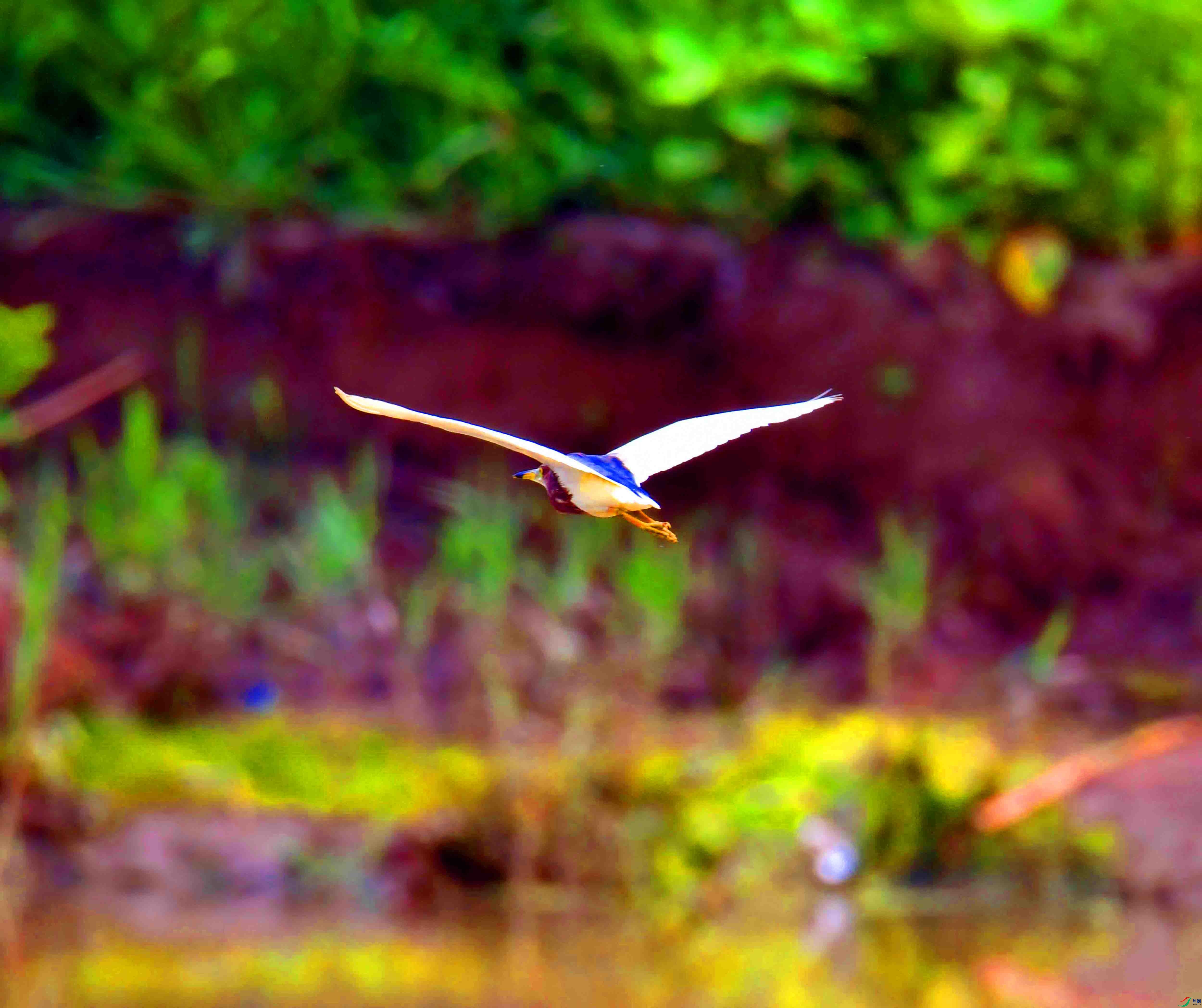 DSC_8817.JPG